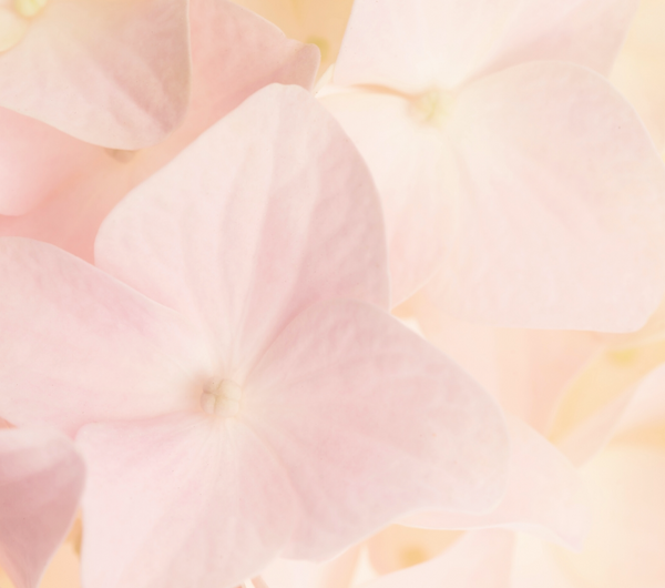 How to Treat PostAcne Marks (PIE and PIH) Properly and Quickly Ambrosia Hong Kong