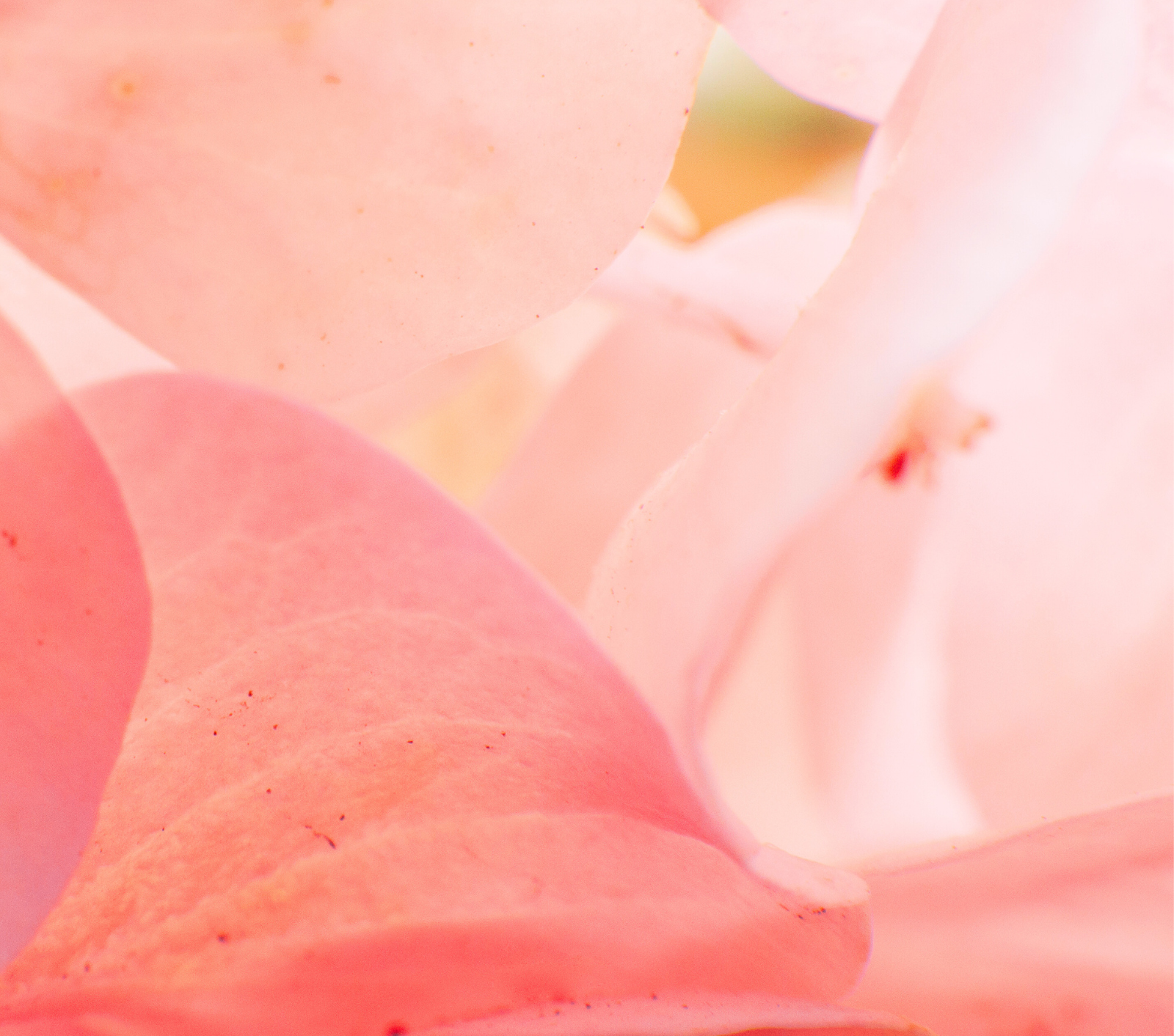 13 個會令暗瘡變嚴重的護膚壞習慣