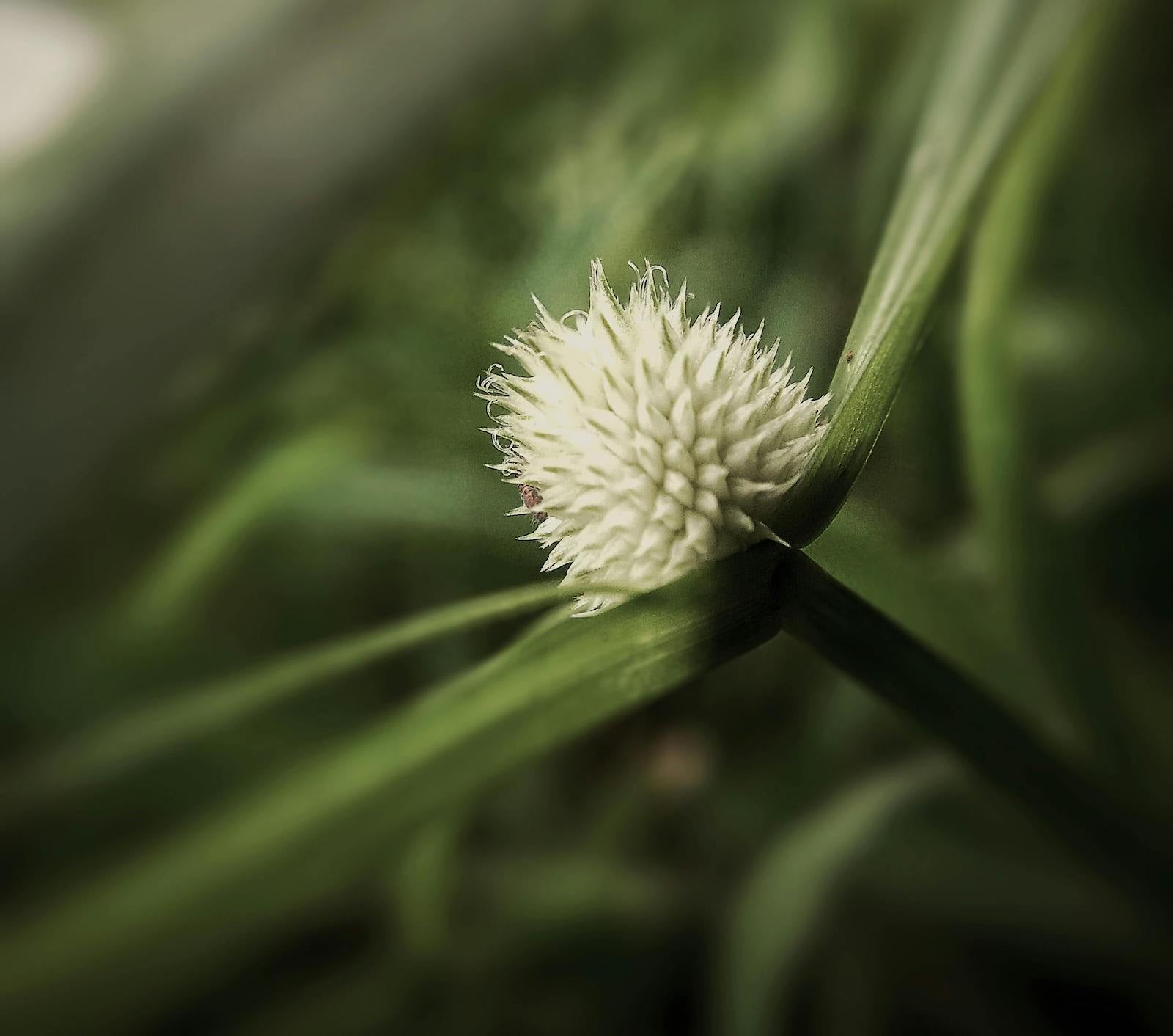 不停的乾燥敏感暗瘡炎症問題？先修復、保護及鞏固皮膚脂質屏障！