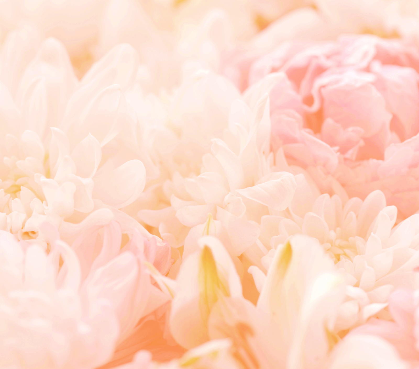 別再錯誤補水保濕！學懂所有基礎及進階知識 - Part 1