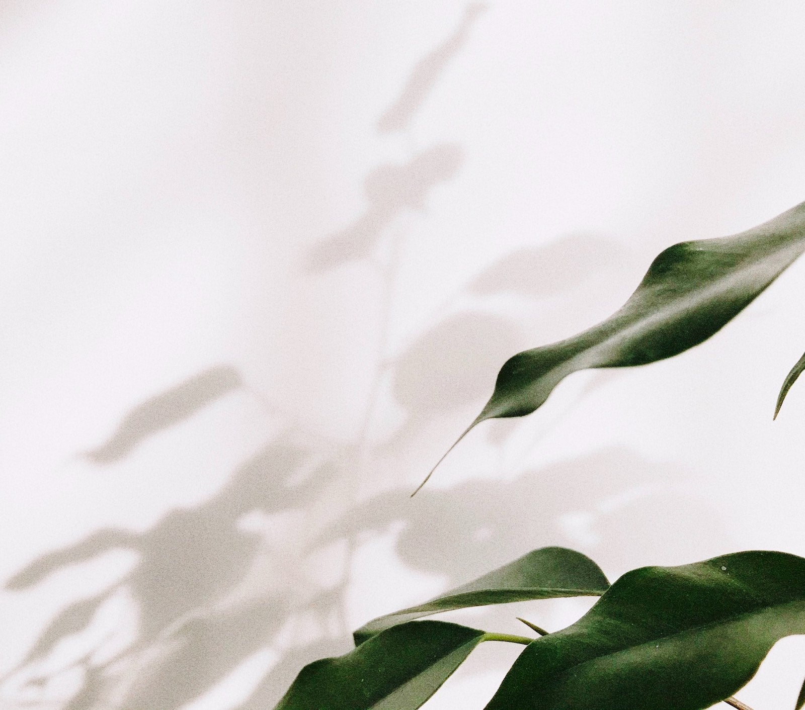 How to Calm Sensitive, Irritated Skin Quickly | Ambrosia | Hong Kong