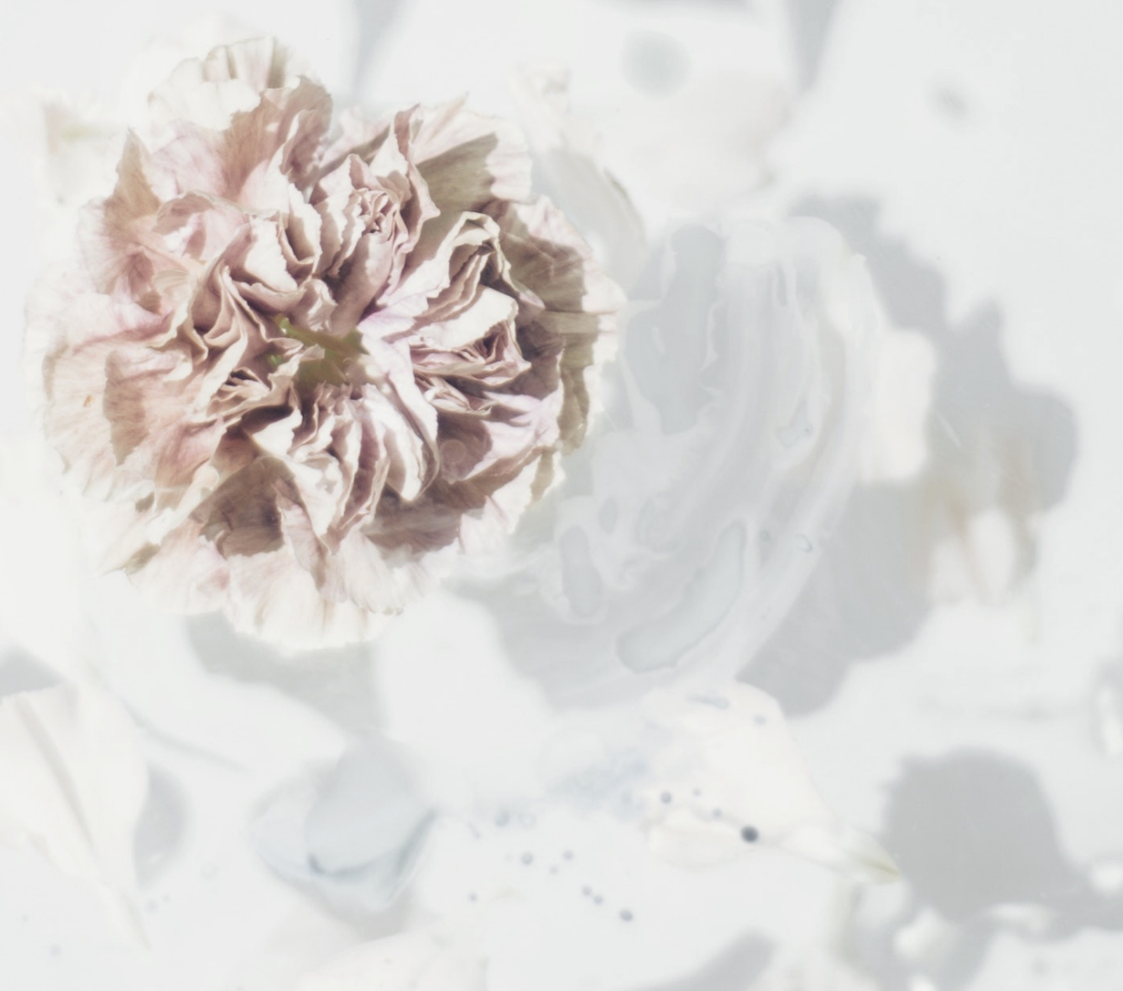 護膚品中的水是否無護膚功效的填充成分？