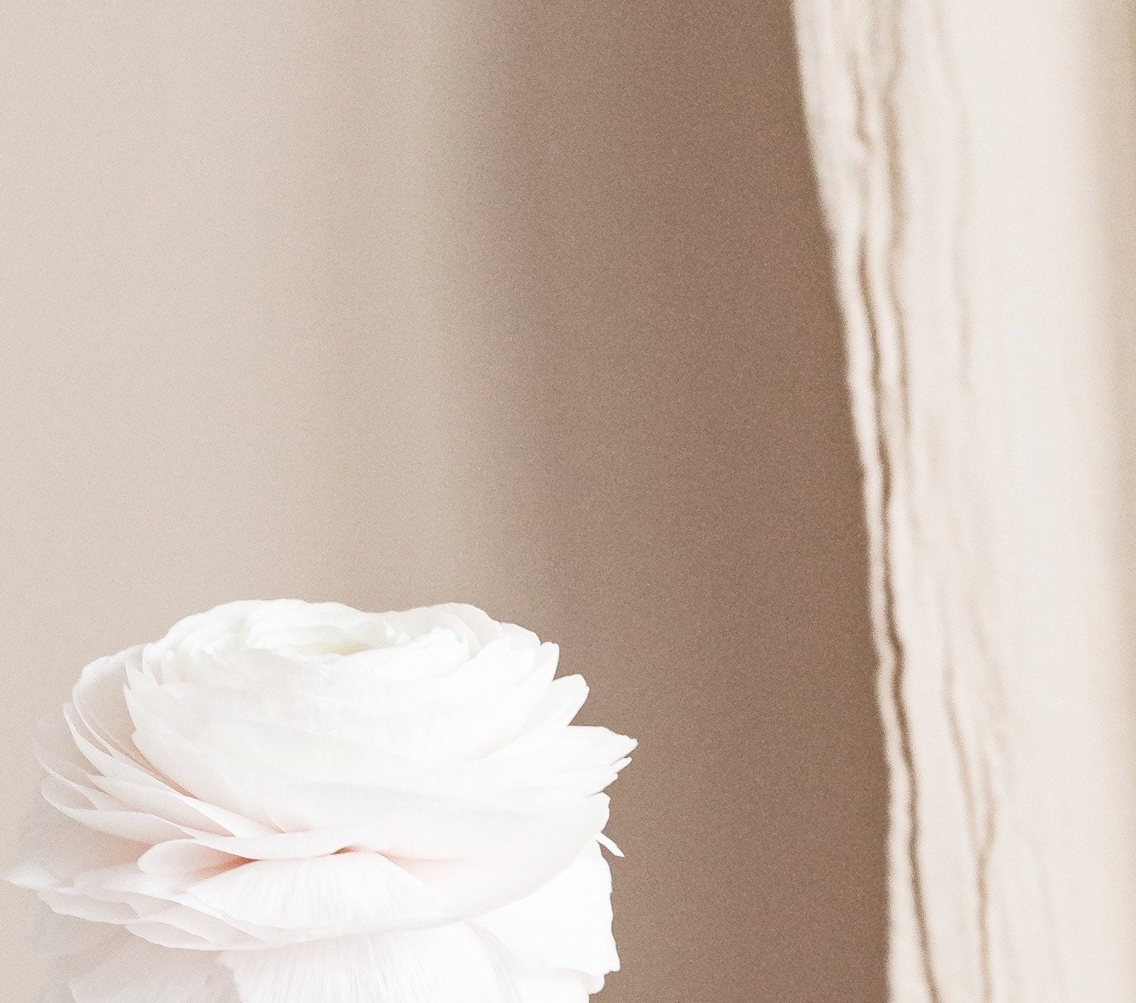 Cleanse, Exfoliate & Use Moisturizers The Right Way | Ambrosia | HK