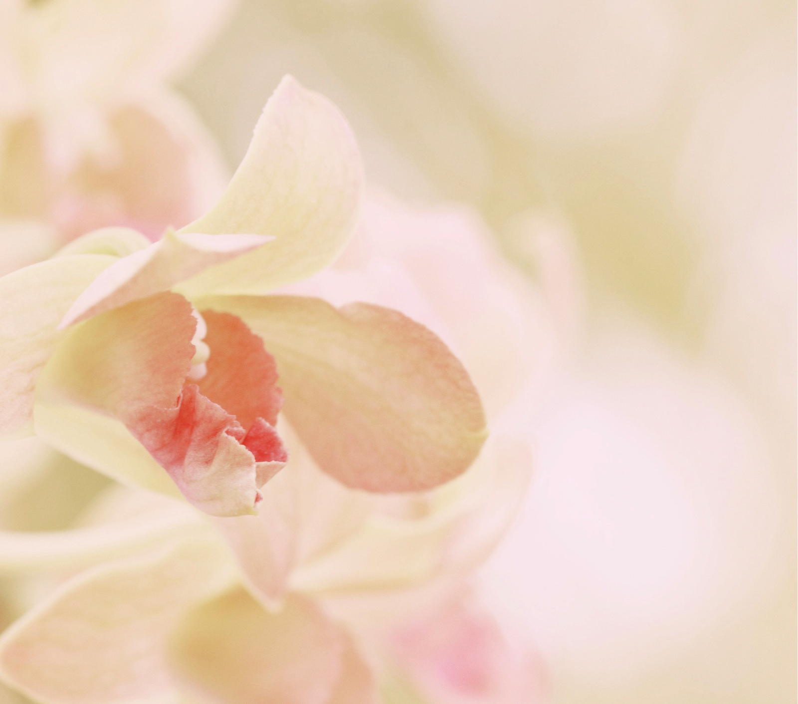 終極正確潔膚指南