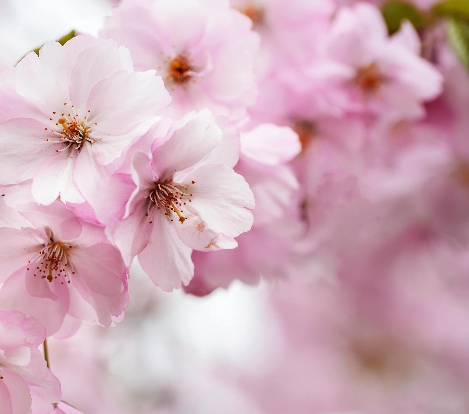 有效改善膚況的終極正確潔面指南