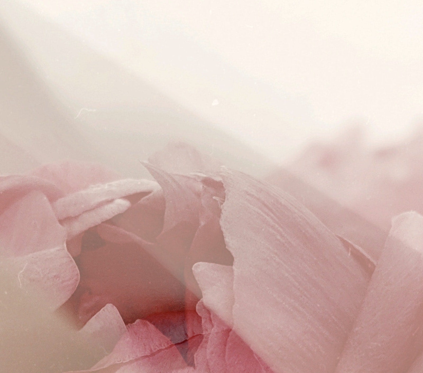 How Collagen Supplement Improves Skin, Hair & Nails | Ambrosia | HK