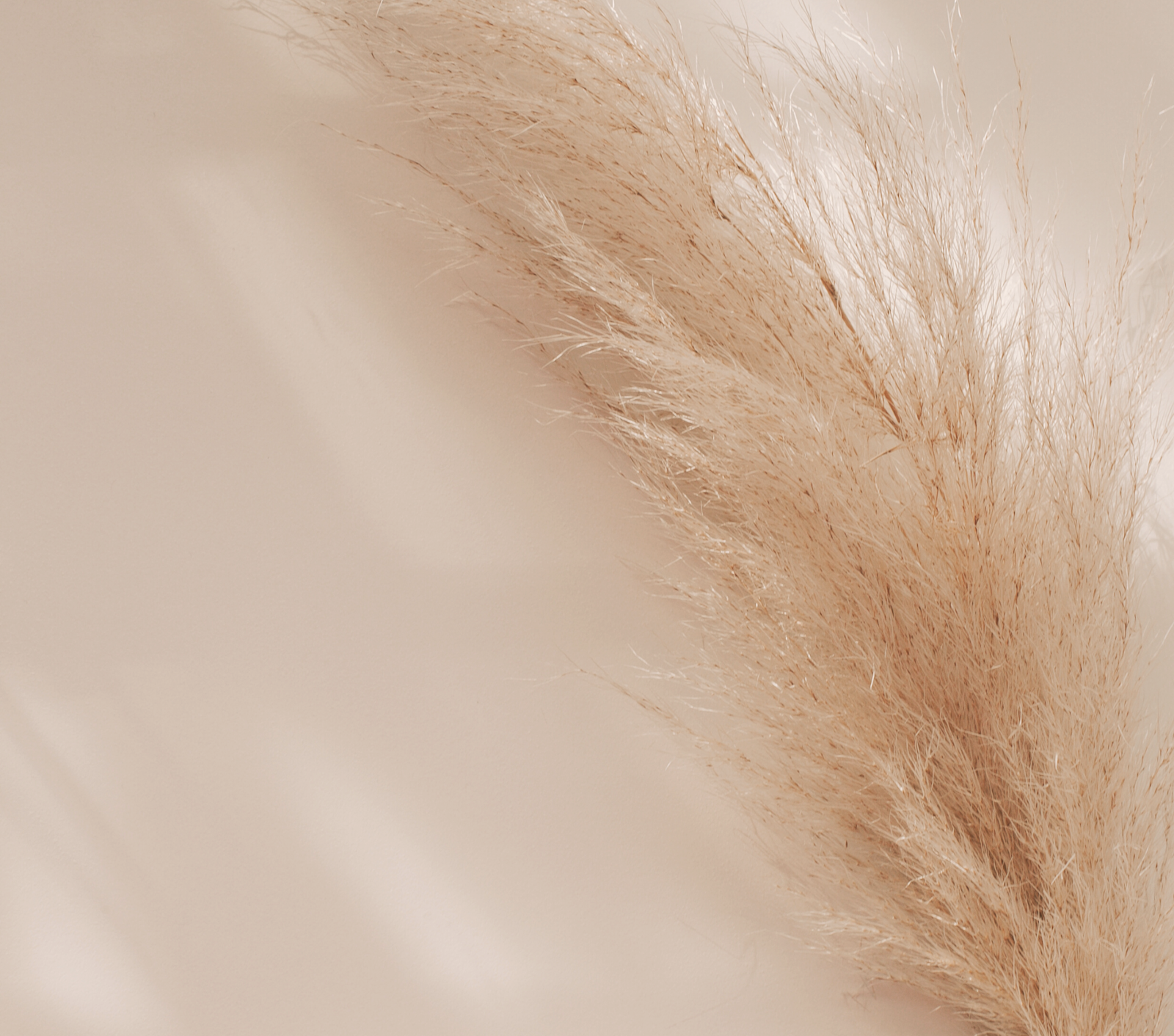 混合性肌膚大解構