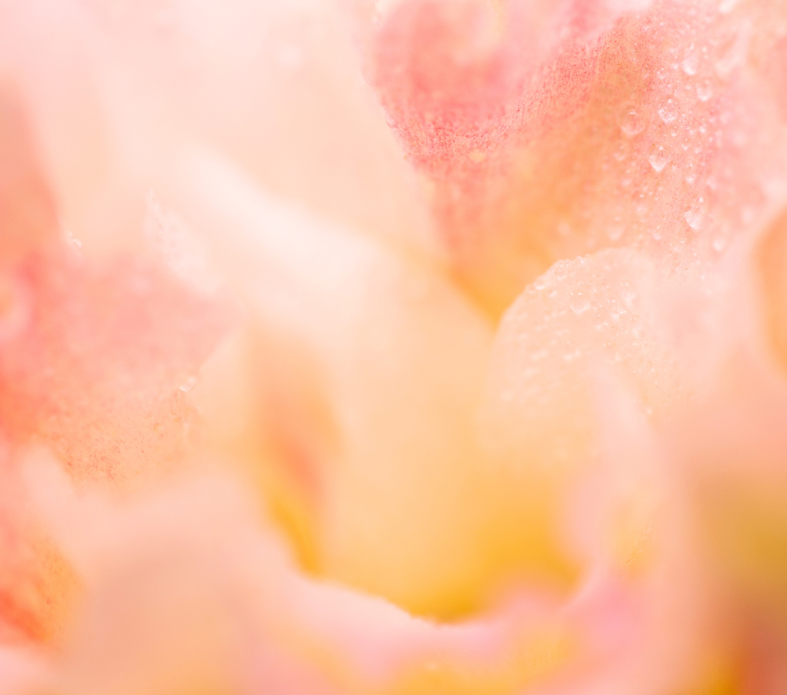 護膚 ・ 護髮 ・ 美容飲食 ・ 健康瘦身！實用冷知識