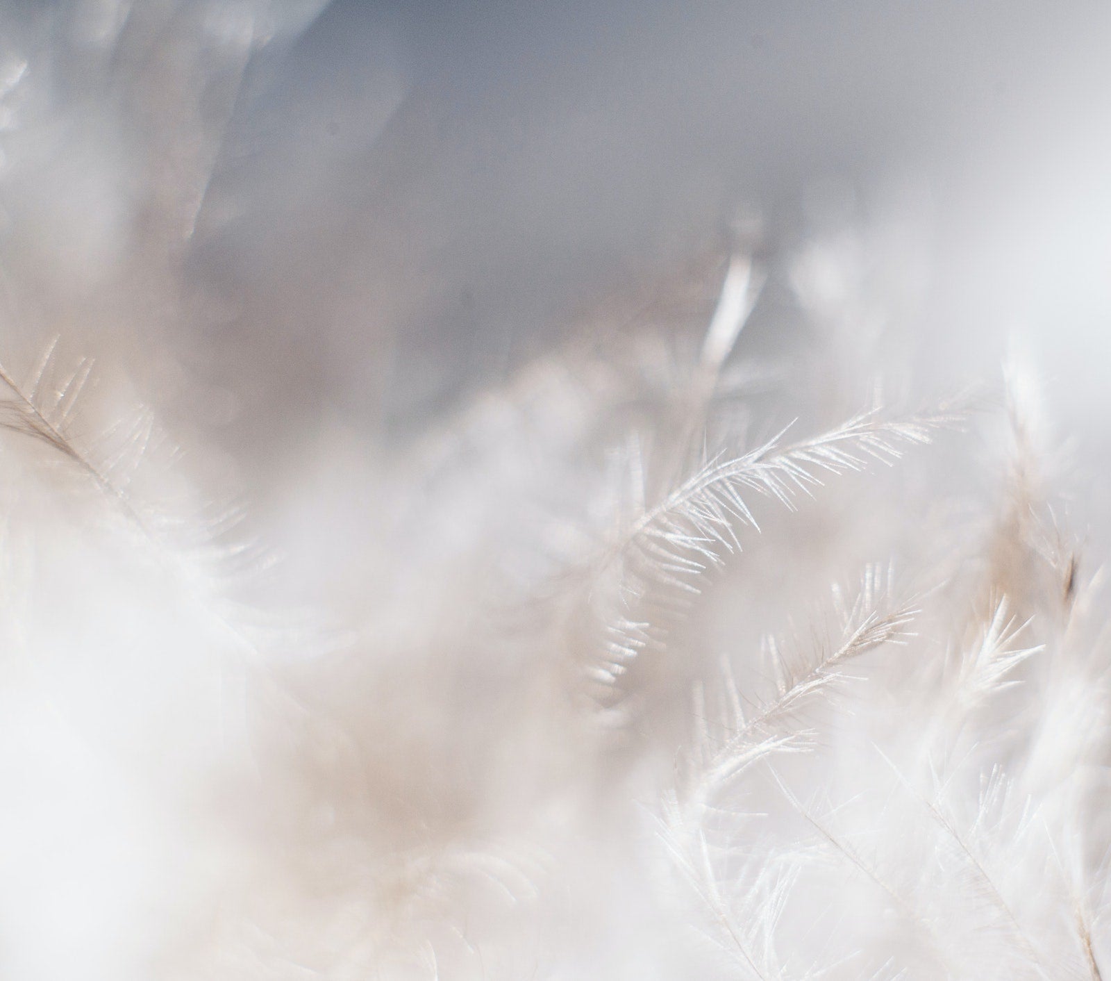 Why You Should Always Double Cleanse At Night | Ambrosia | Hong Kong