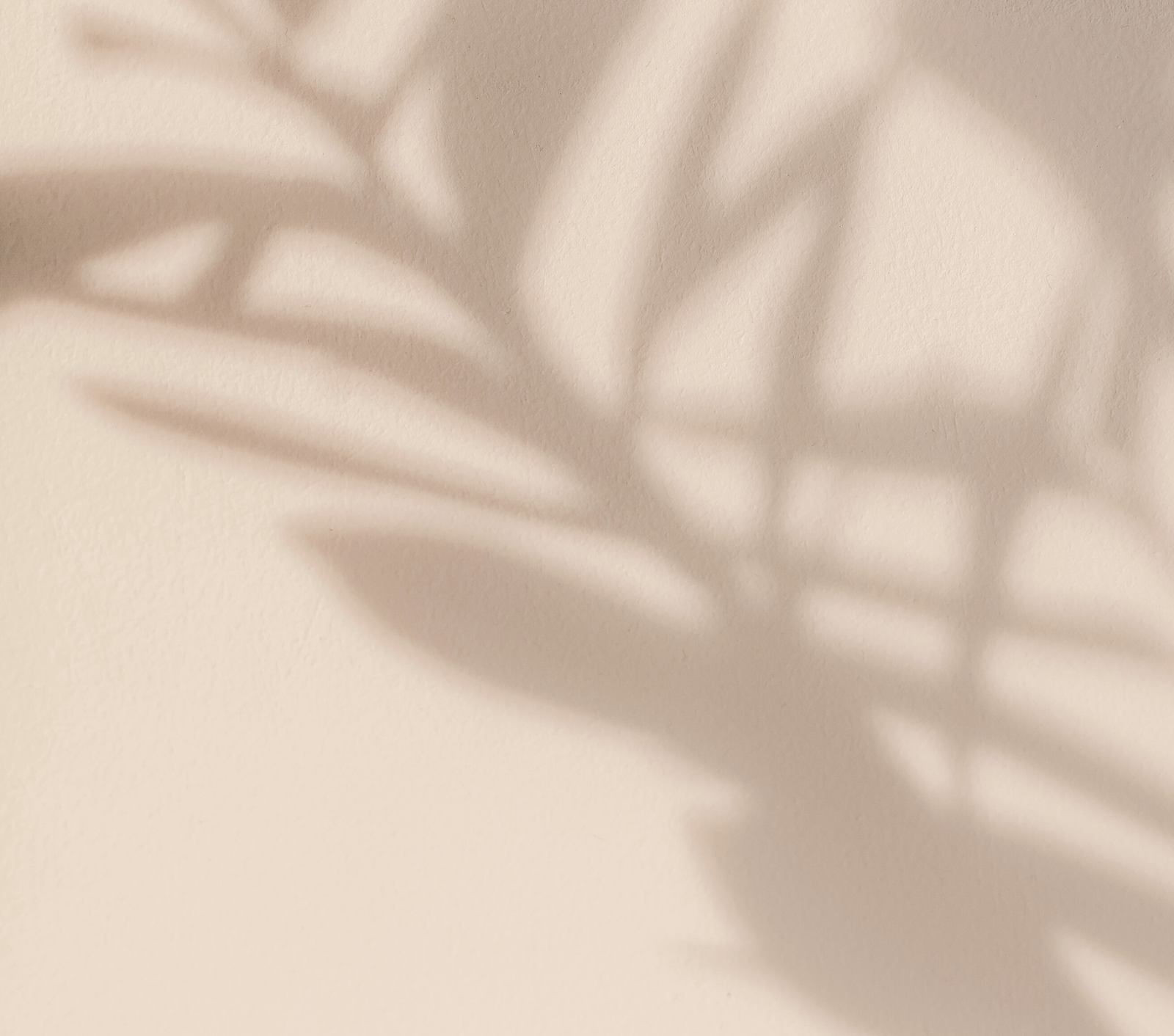 「缺水肌」及「乾性肌」大解構