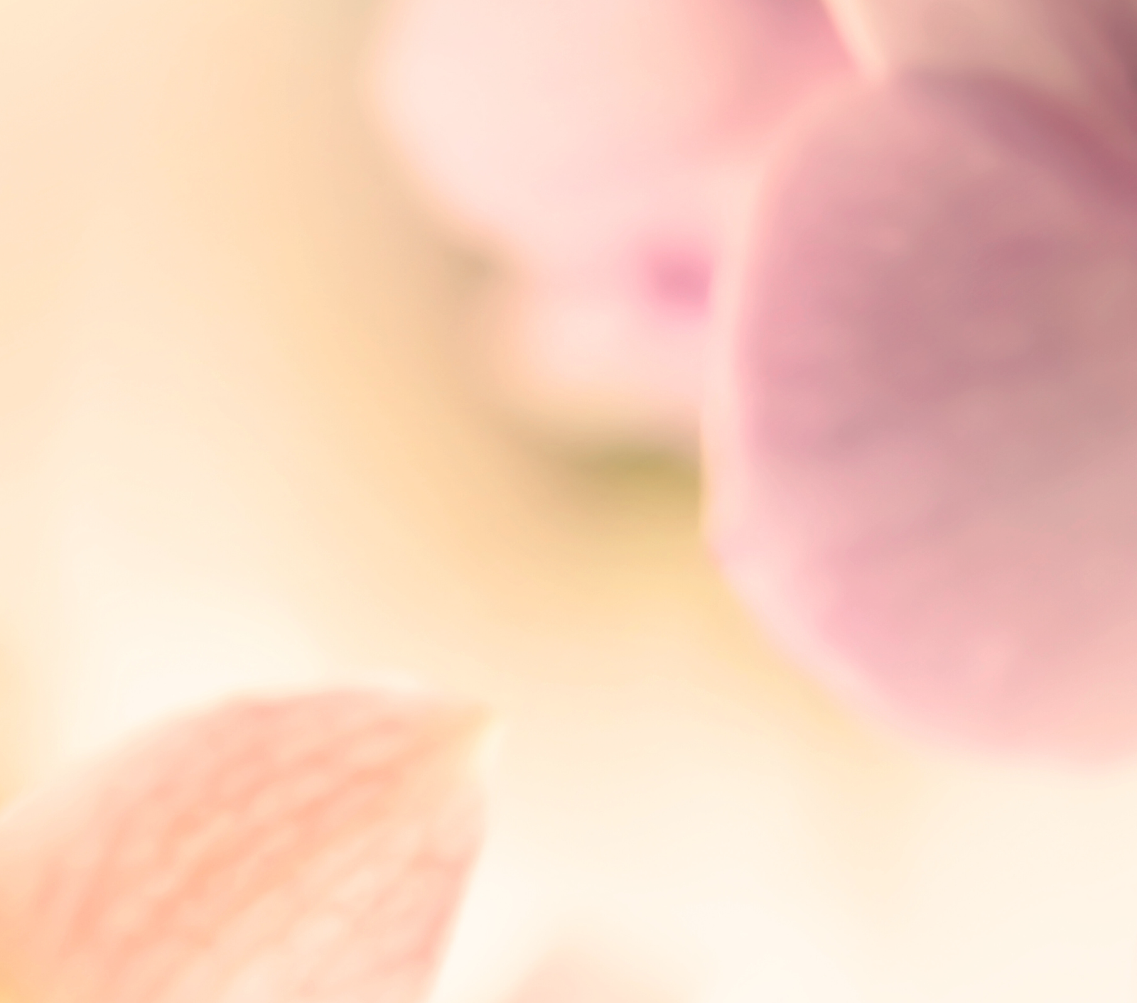 一文看清六種濕疹種類・成因・症狀・誘因・護理及改善方法