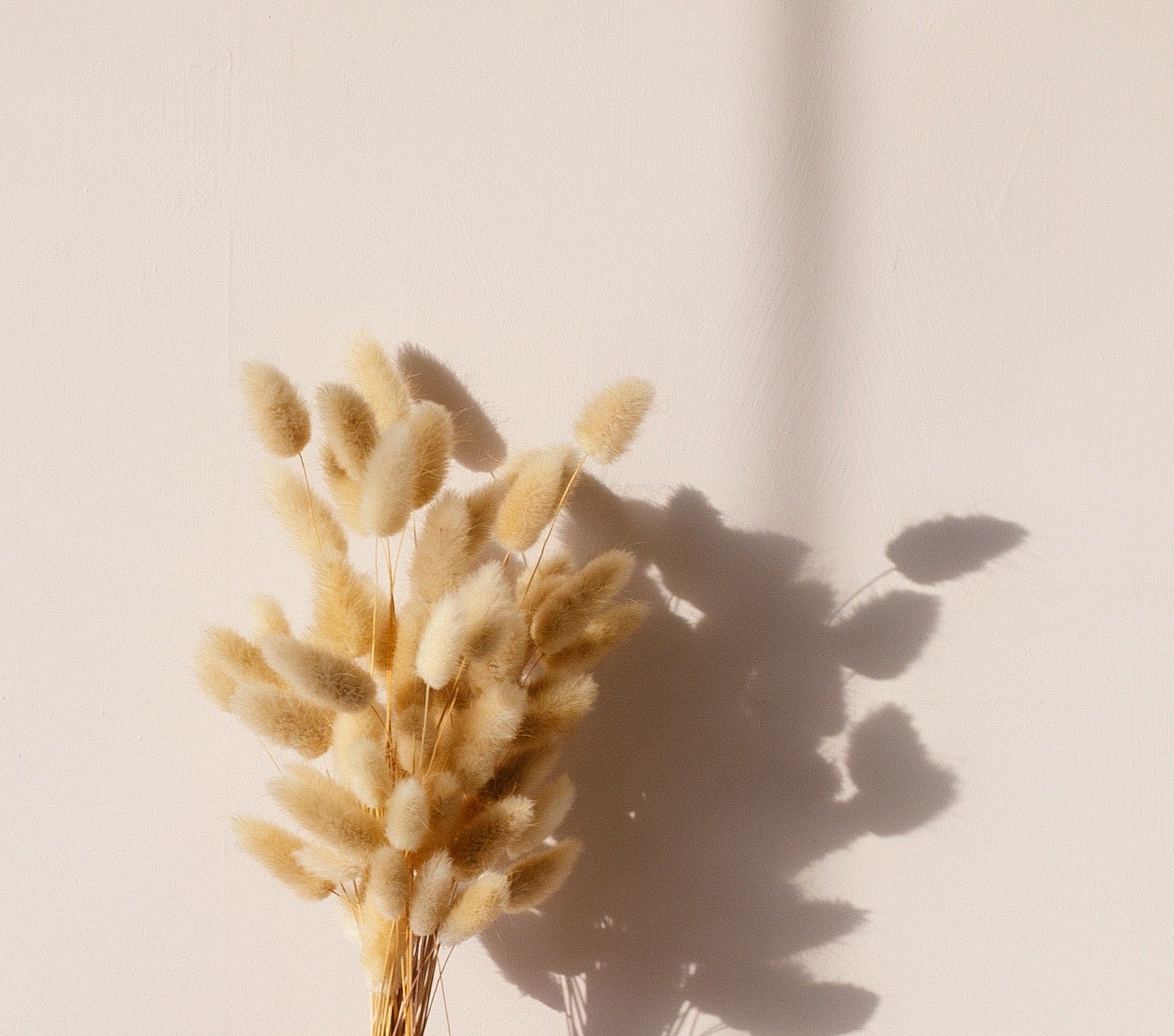 Why All Skin Types Should Use a Face Oil | Ambrosia | Hong Kong