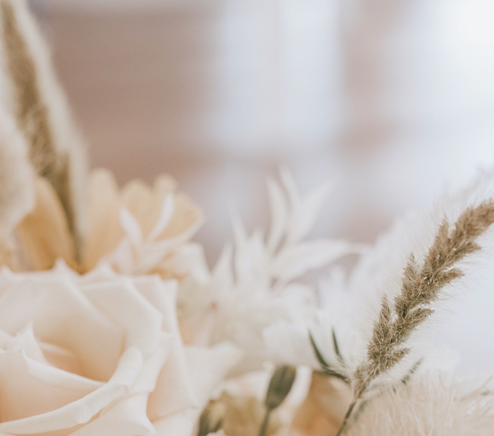 Refine Your Skincare Routine For Fall | Ambrosia | Hong Kong