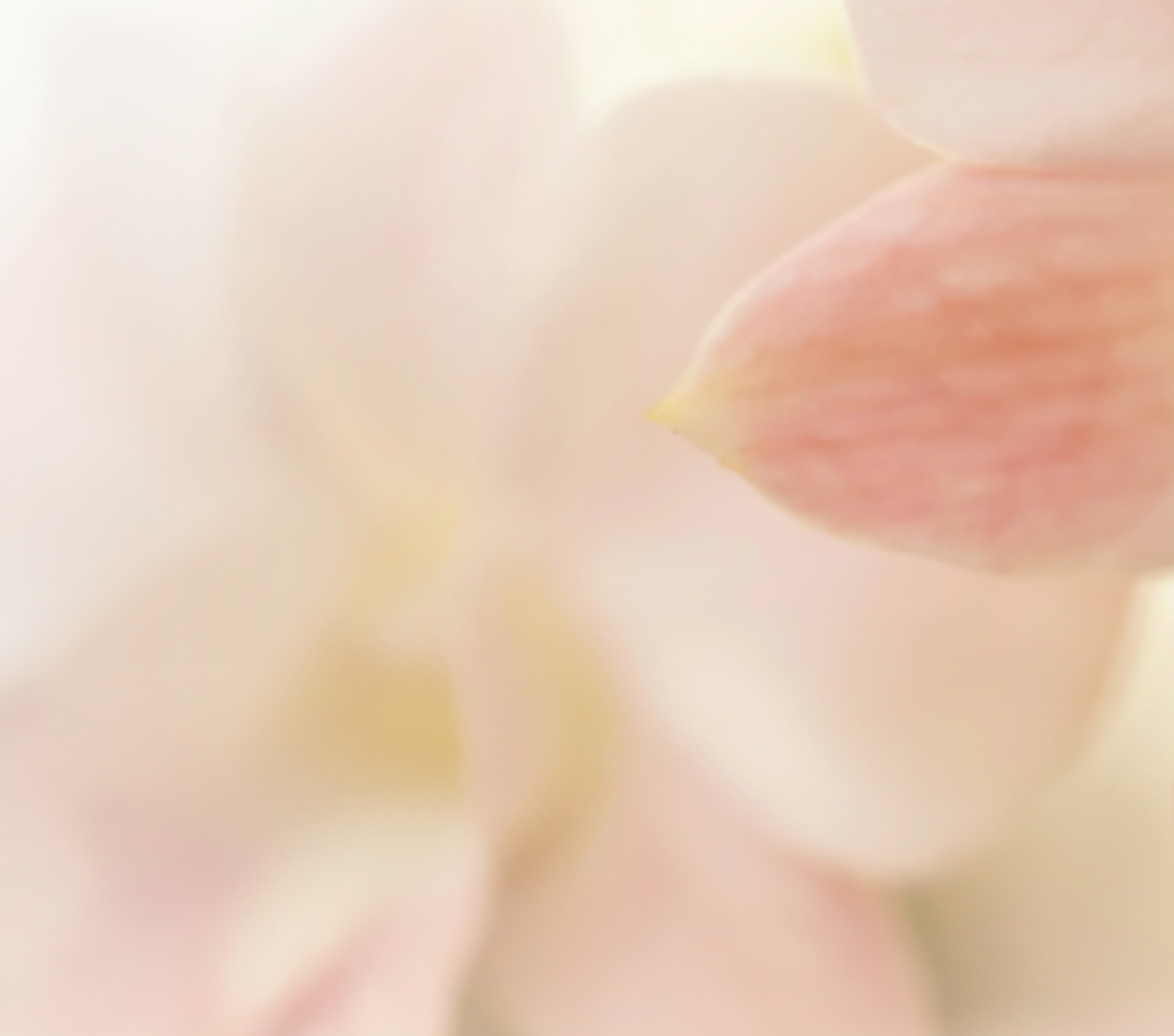 維持皮膚年輕最重要的「零摩擦護膚法」