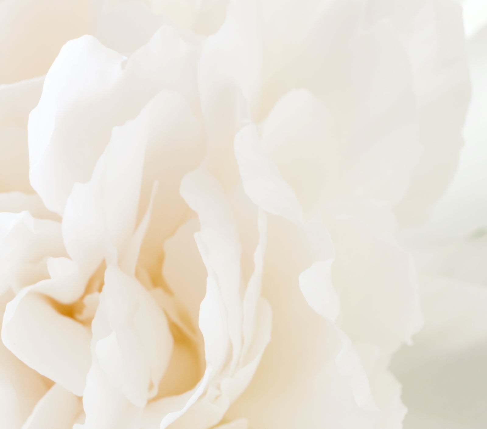 如何正確改善及預防粗大毛孔