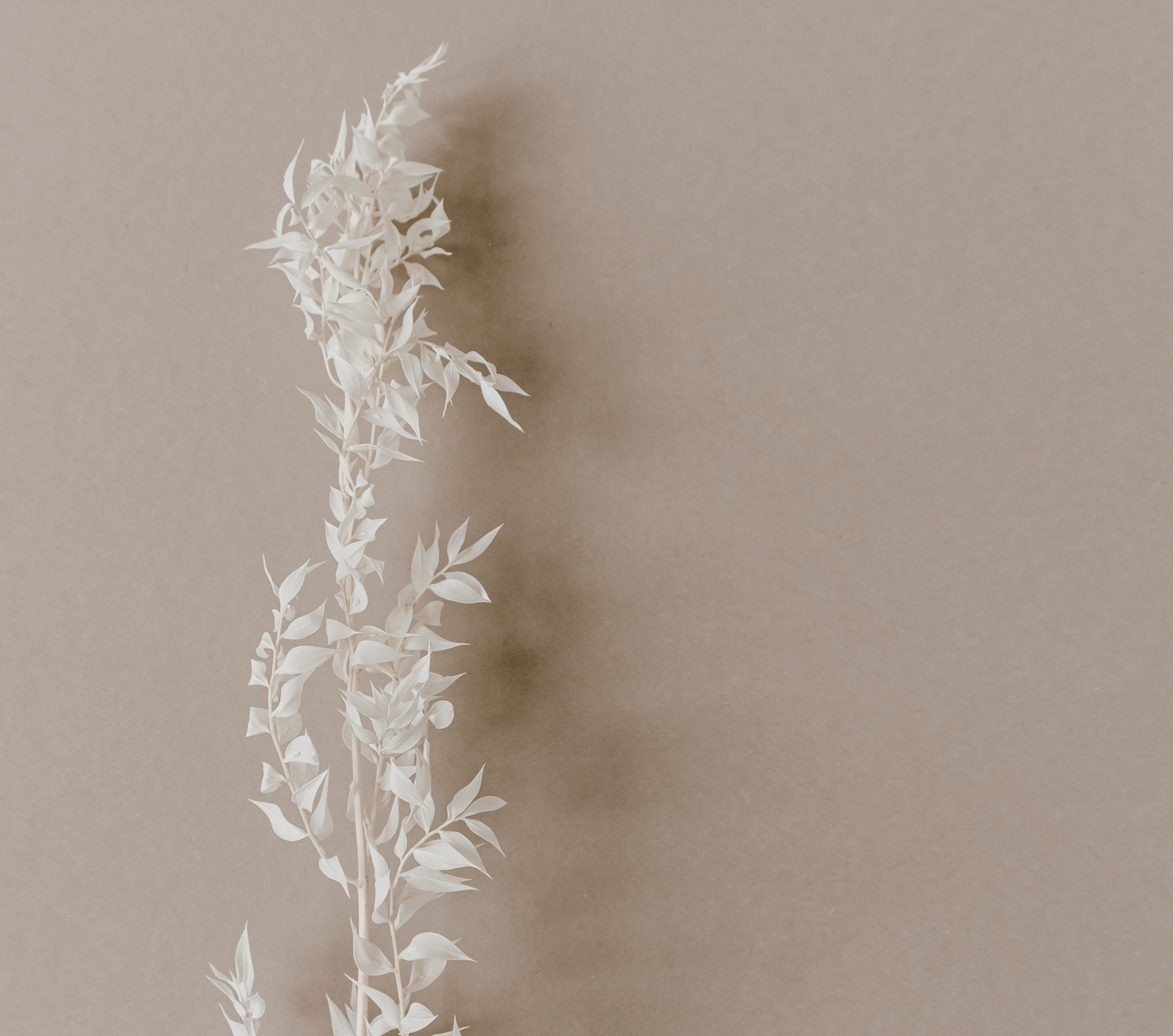 防止雙手乾燥、老化 7 大貼士