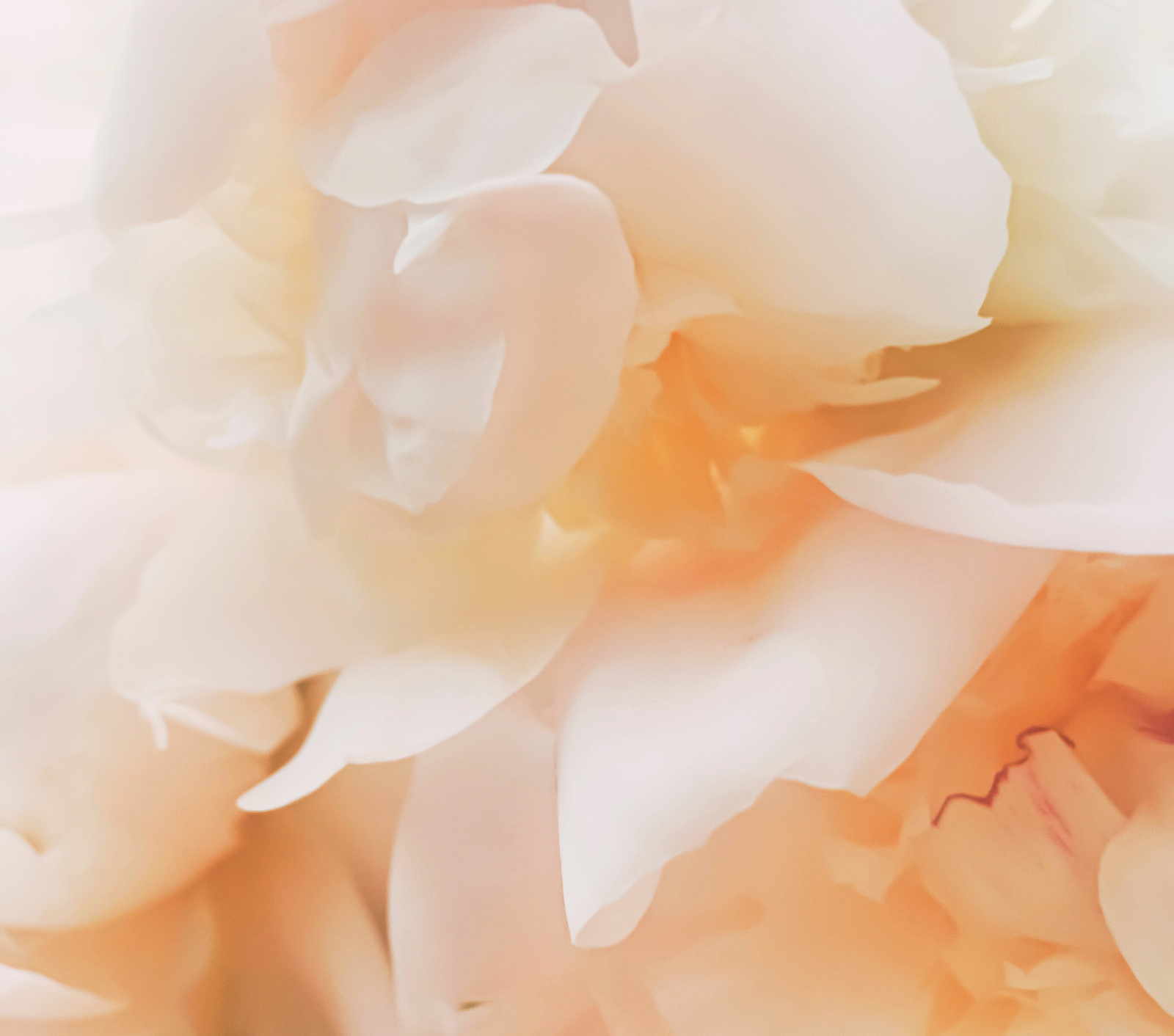 締造無懼年齡的水光肌