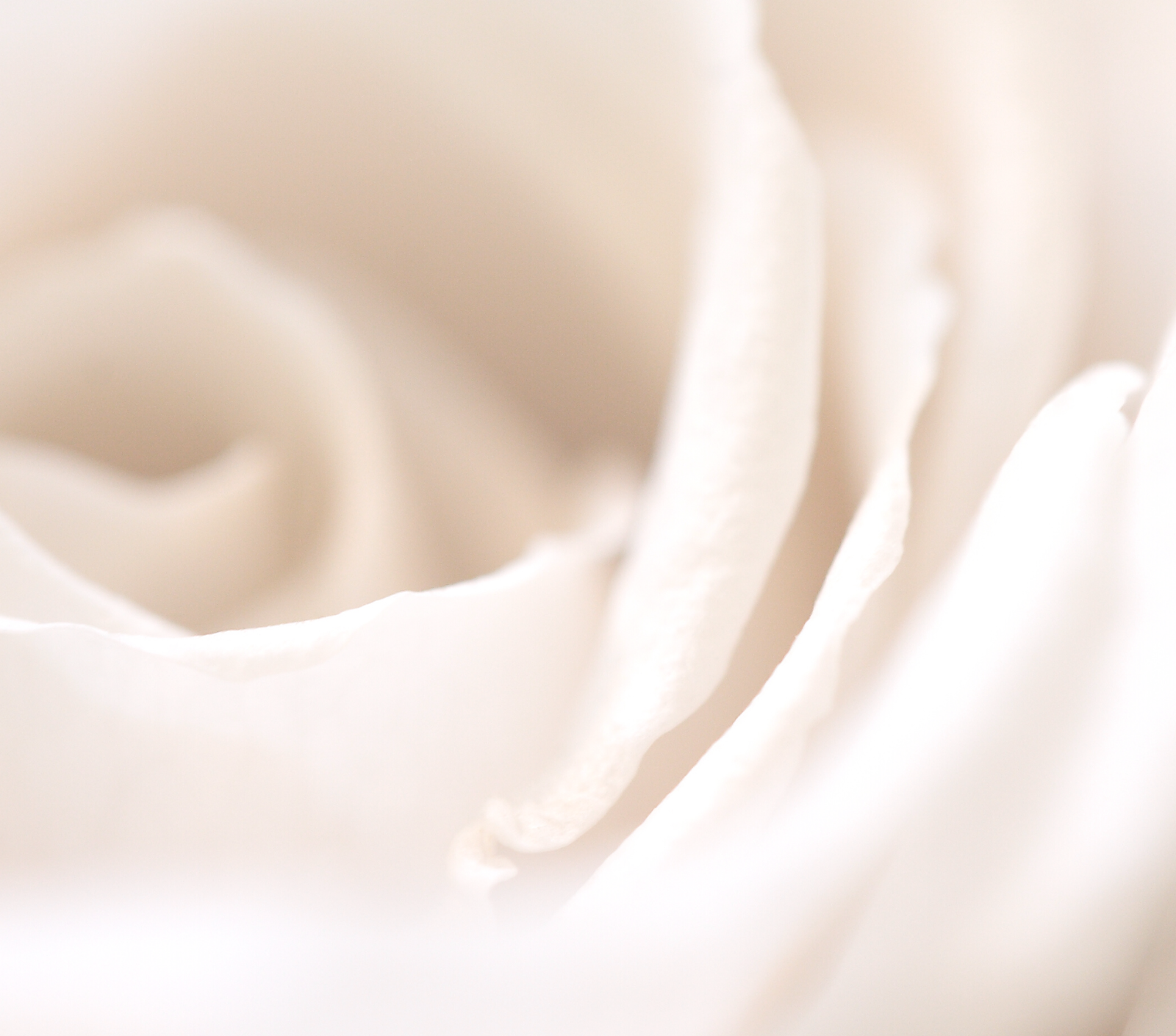 如何保持身體肌膚健康柔滑、水潤緊緻