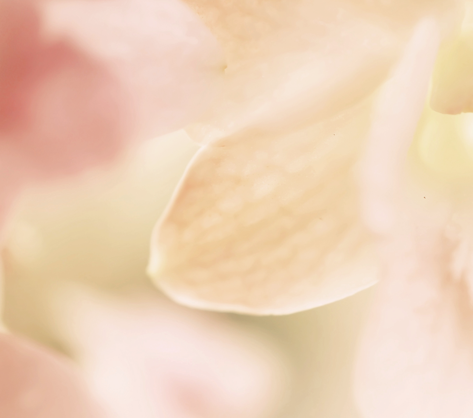 秋冬護膚黃金法則！提早養出健康水潤美肌