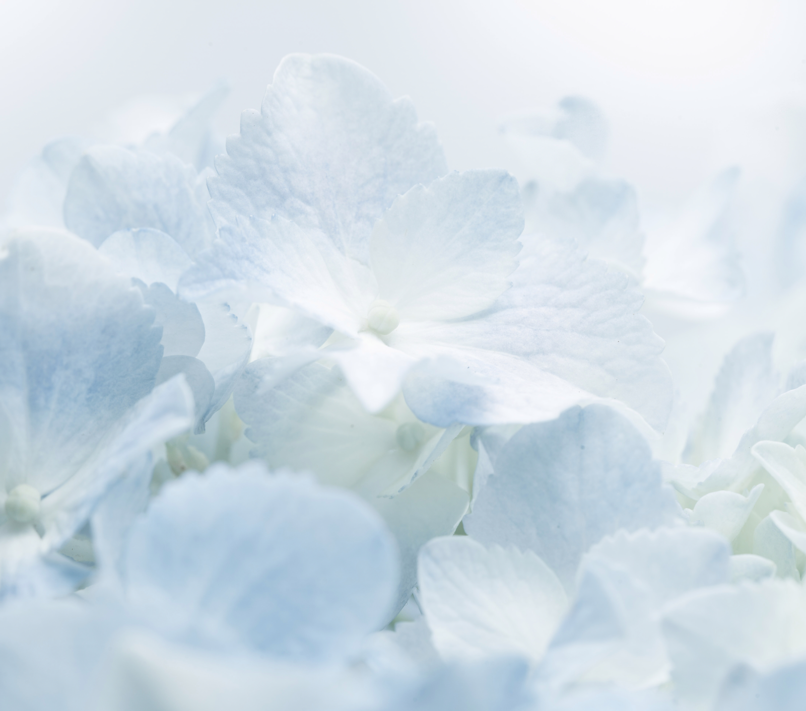 8 Ways To Tackle Acne | Ambrosia | Hong Kong