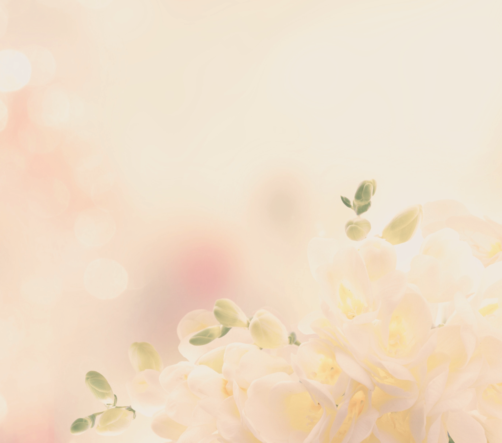 「補濕」「補水」不等於 「保濕」！別再錯誤護理缺水乾燥肌！