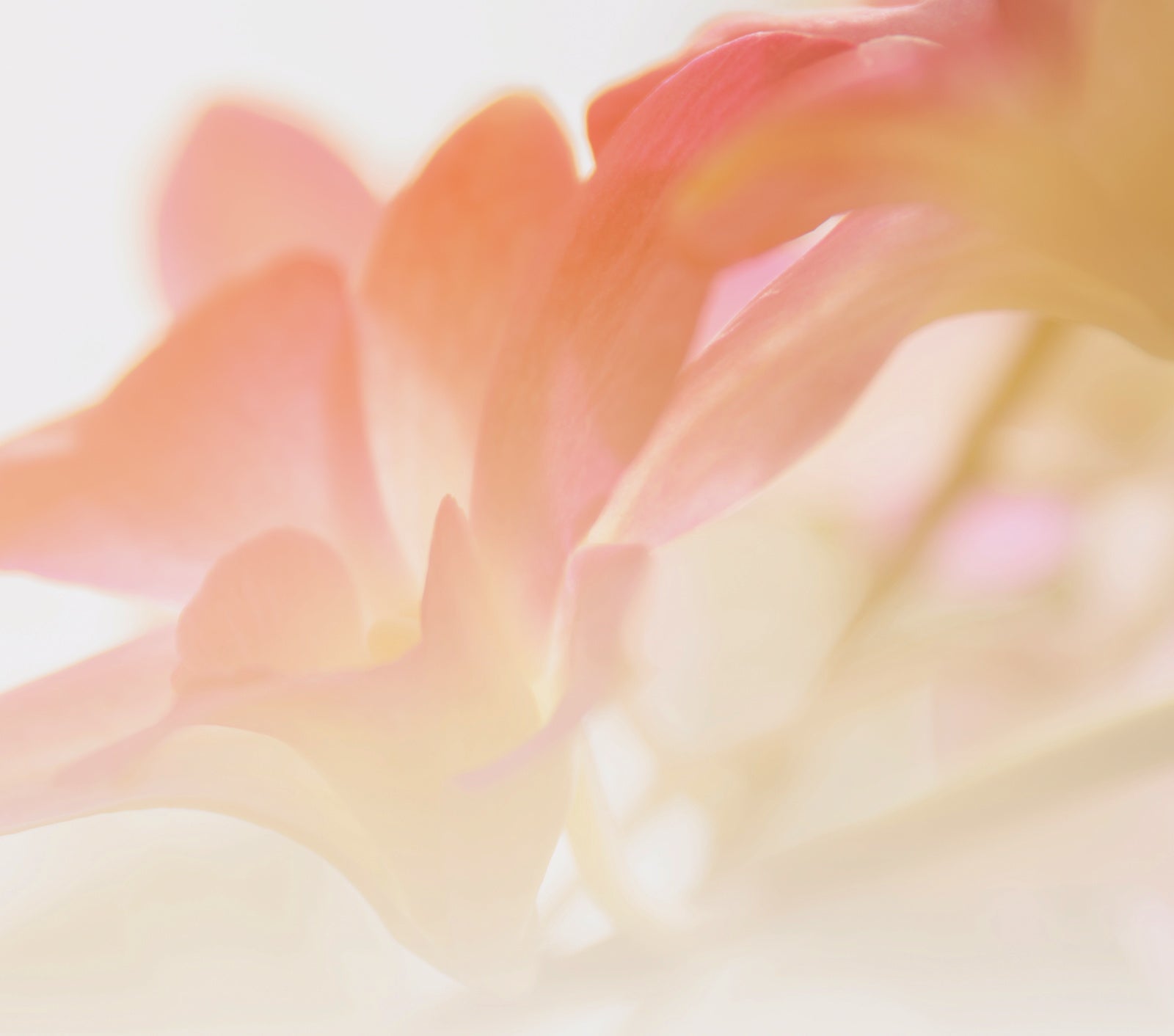 A Comprehensive Guide to Hyperpigmentation | Ambrosia | Hong Kong