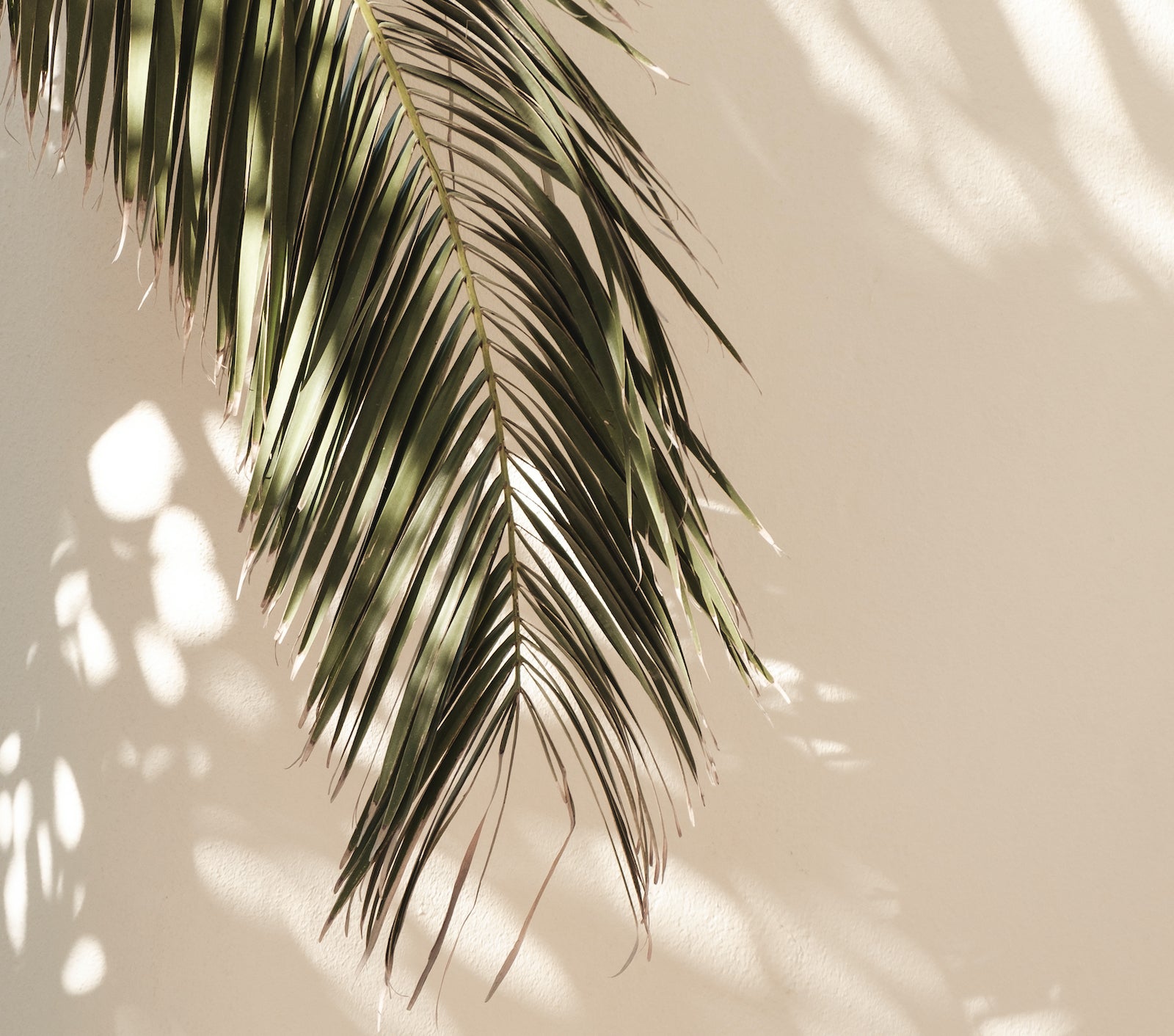 How To Properly Layer Skincare Products | Ambrosia | Hong Kong