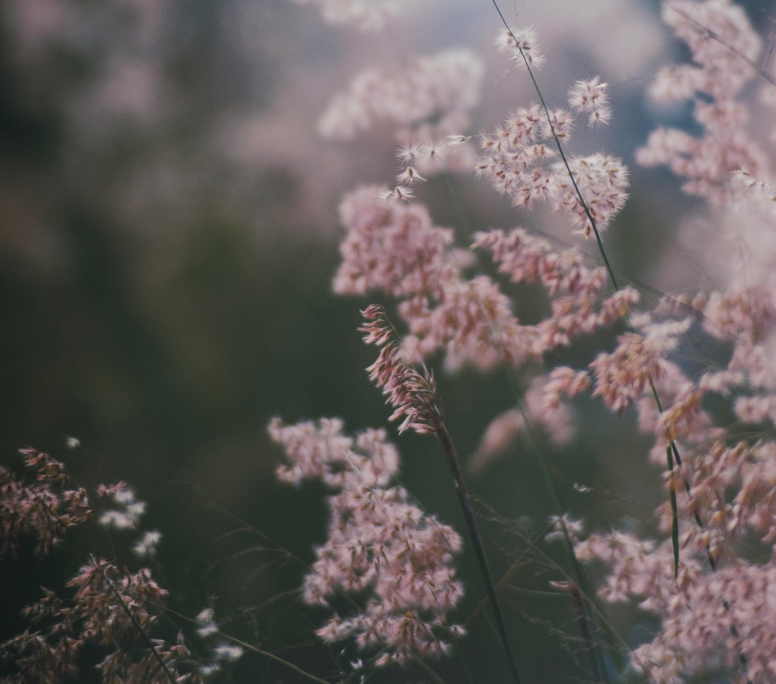 高端護膚品 vs. 平價護膚品 —— 究竟分別在哪裡？