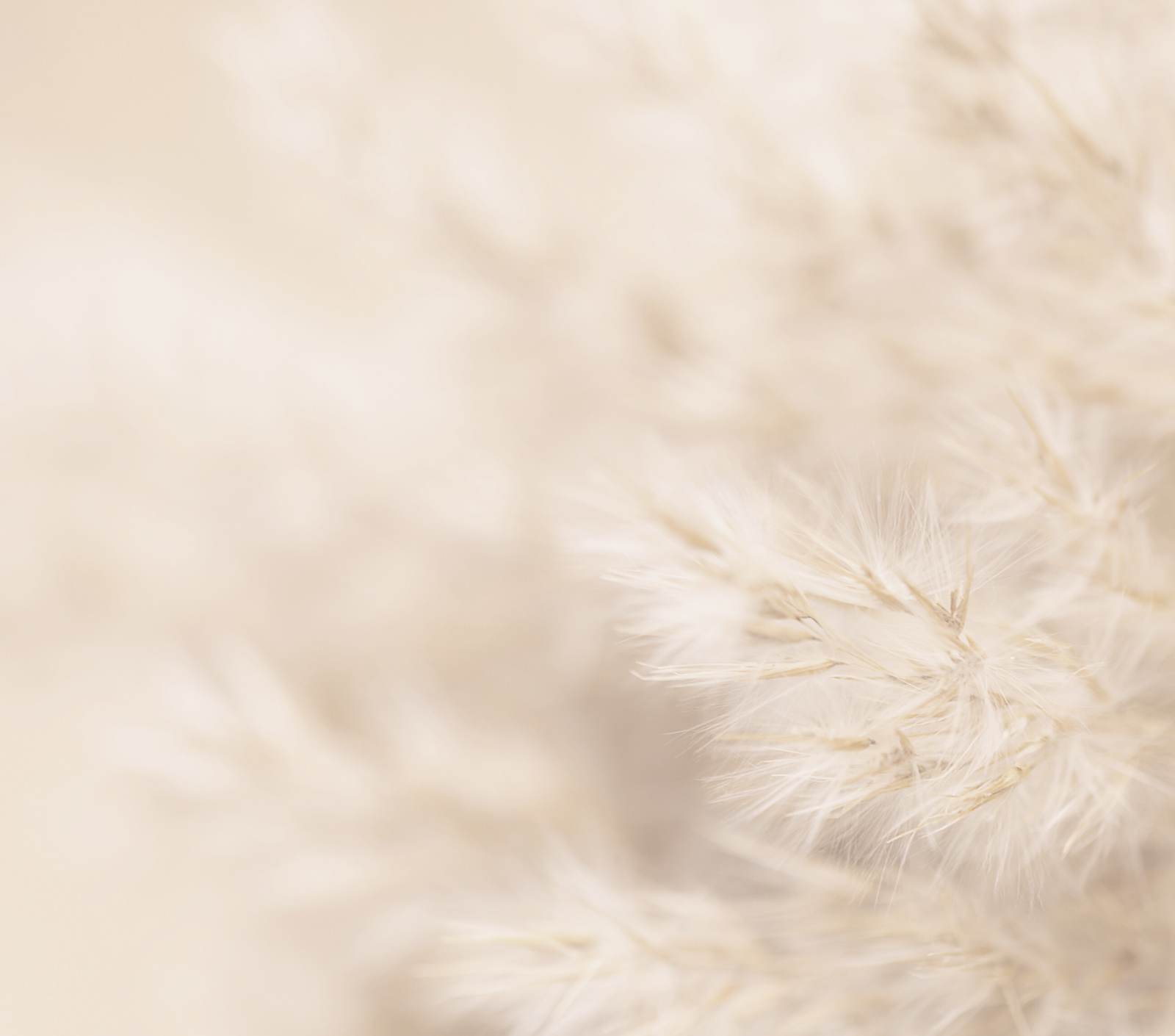 擺脫及預防經期爆痘