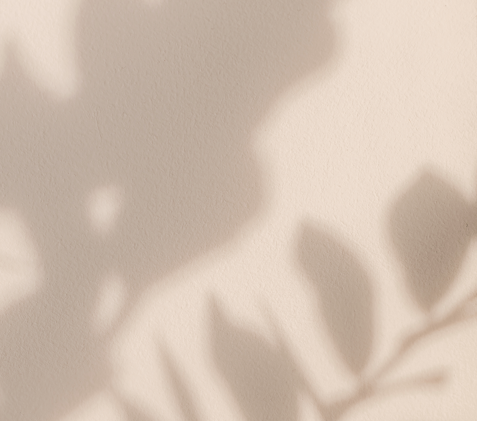 Everything About Oiliness & Oily Skin | Ambrosia | Hong Kong