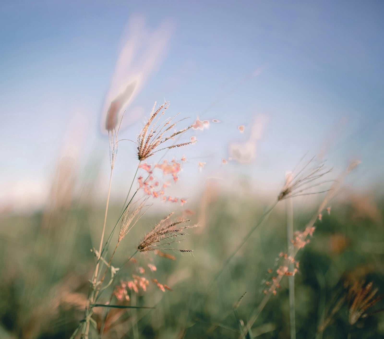 暗瘡炎症後的紅和啡色印? 最有效的預防及改善方法之啡印篇