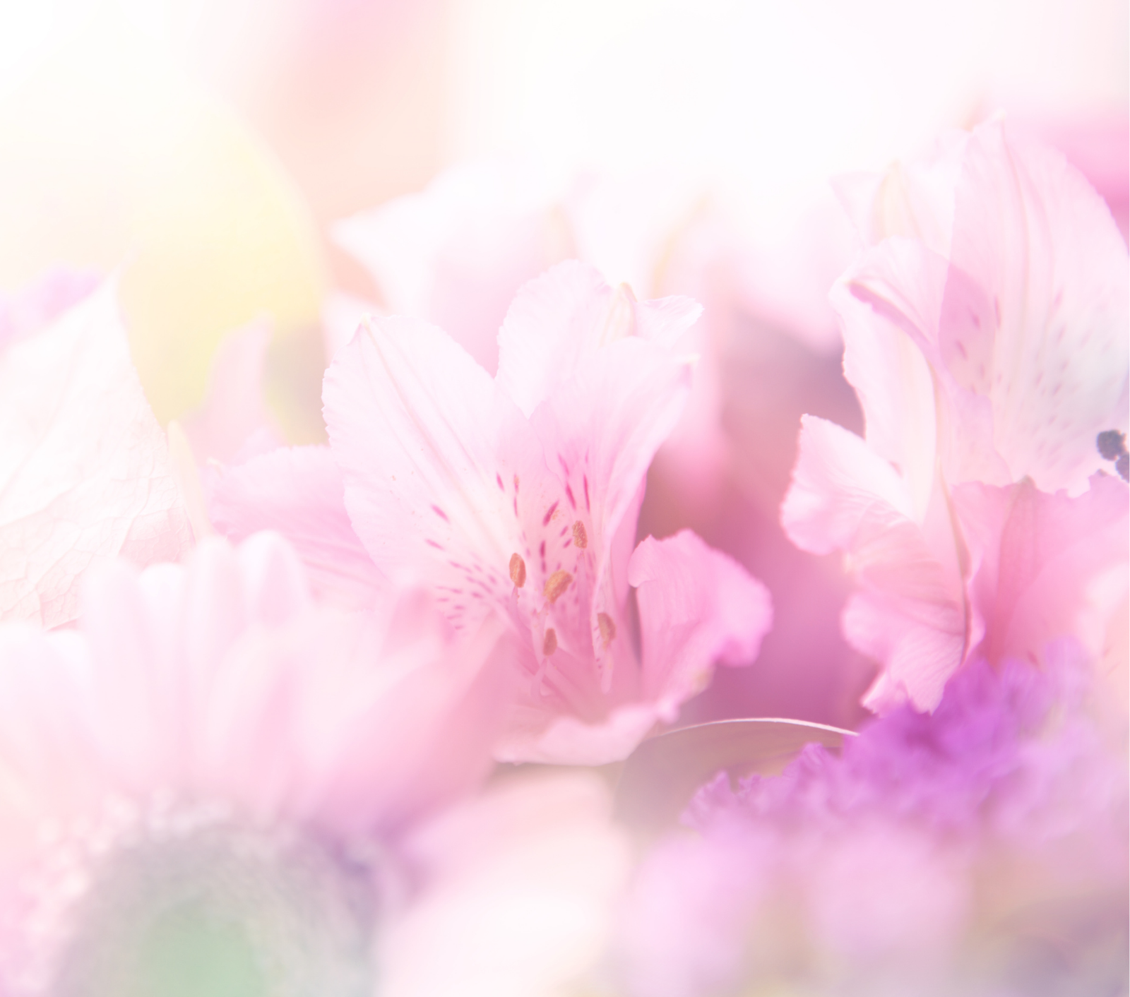 抗皺抗炎！補濕淡斑！育髮生髮！不同胜肽的卓越護膚功效