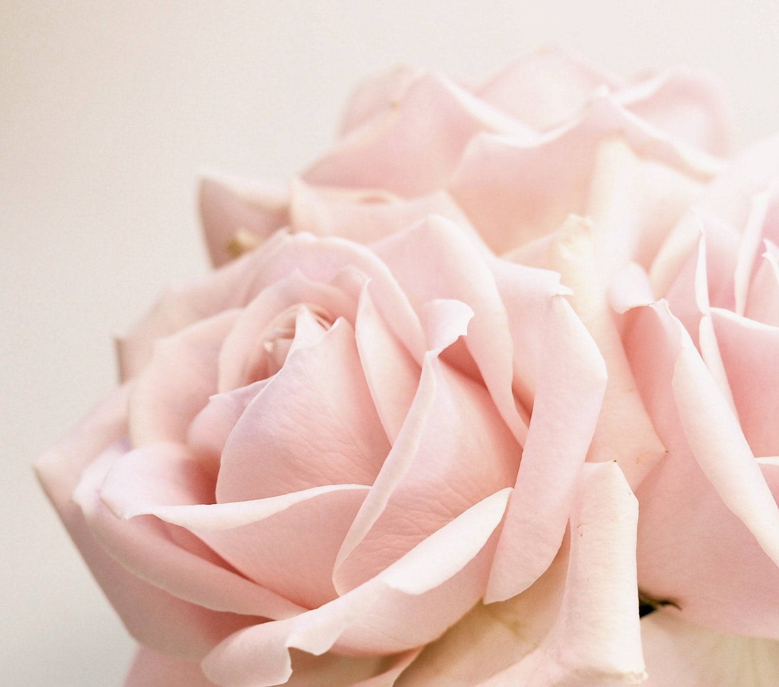 Don't Fall into These Skincare Traps! | Ambrosia | Hong Kong