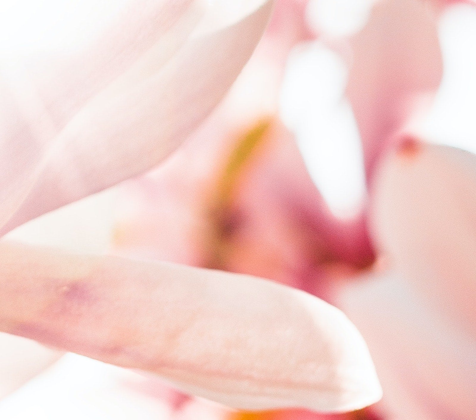 Peptides Are Little Miracle Workers For Skin | Ambrosia | Hong Kong