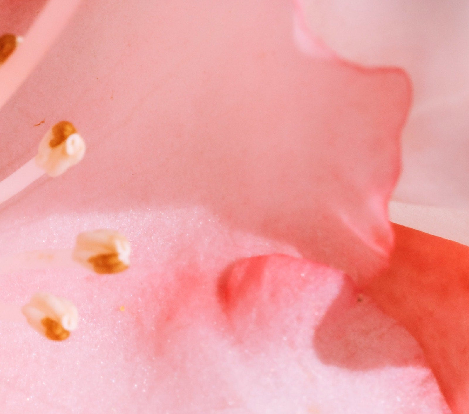 Fight Acne, Irritations & Oiliness with Kaolin | Ambrosia | Hong Kong