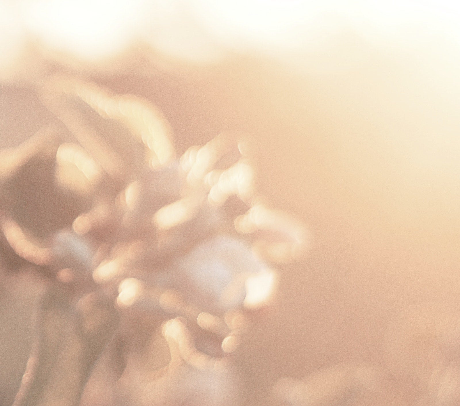 如何對抗年輕健康皮膚大敵——空氣污染