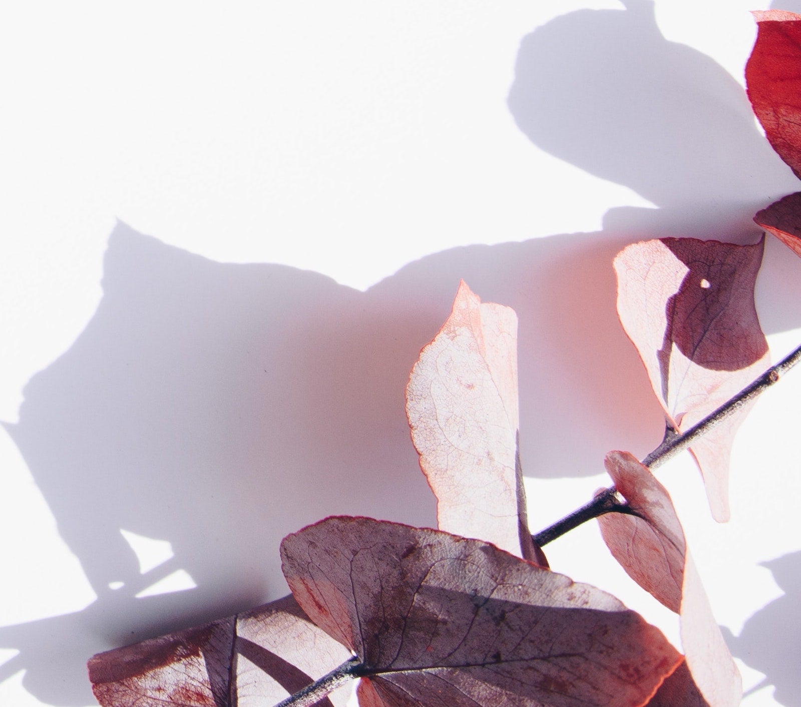 Transform Your Skin With These Skincare Hacks | Ambrosia | Hong Kong