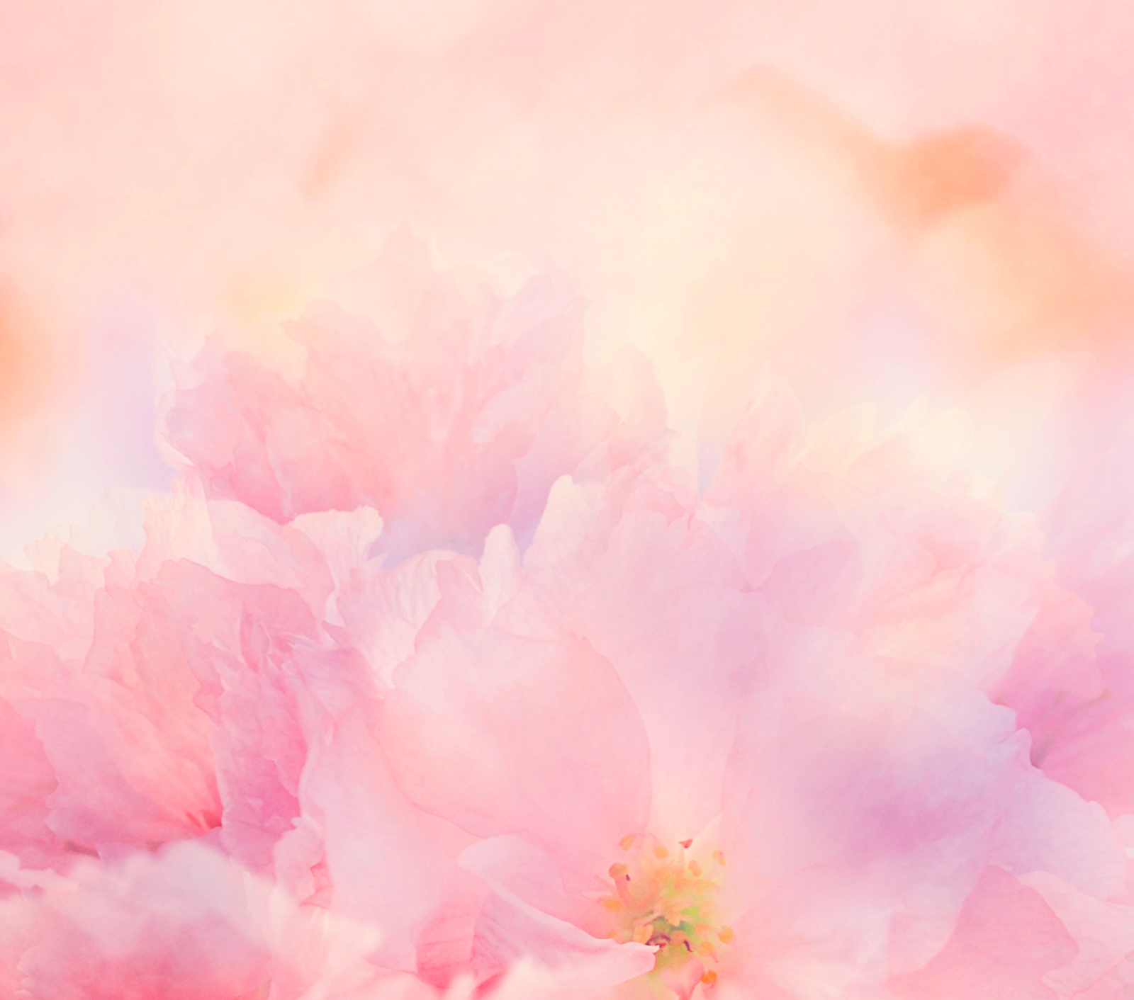 一文看清玫瑰痤瘡成因・症狀・誘因・改善方法