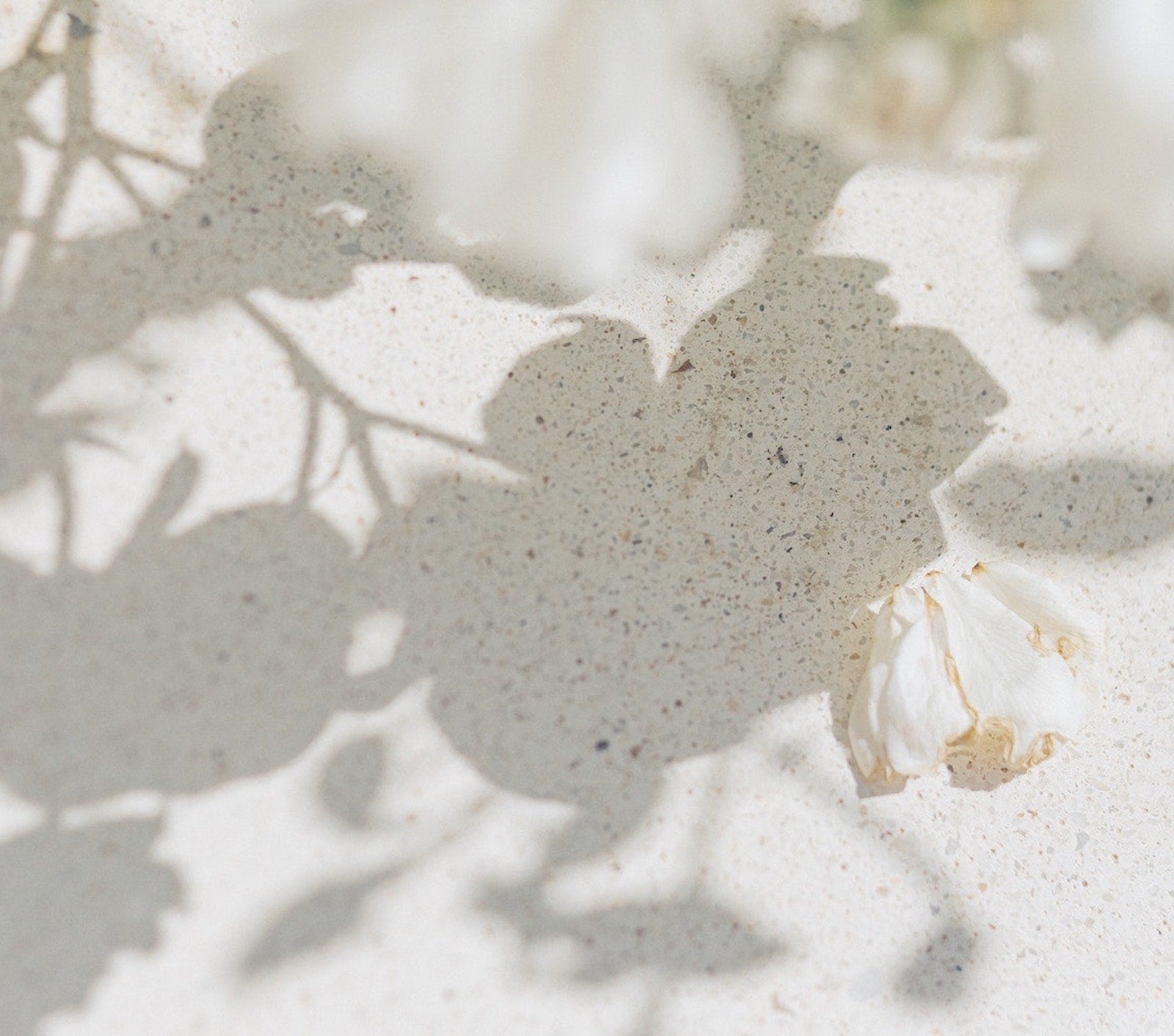 Does Drinking More Water Hydrate The Skin? | Ambrosia | Hong Kong