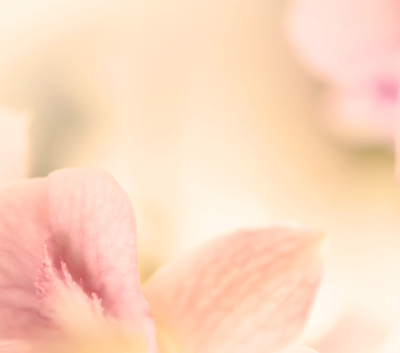 美容覺的重要性！睡眠不足不佳引起的各種肌膚問題