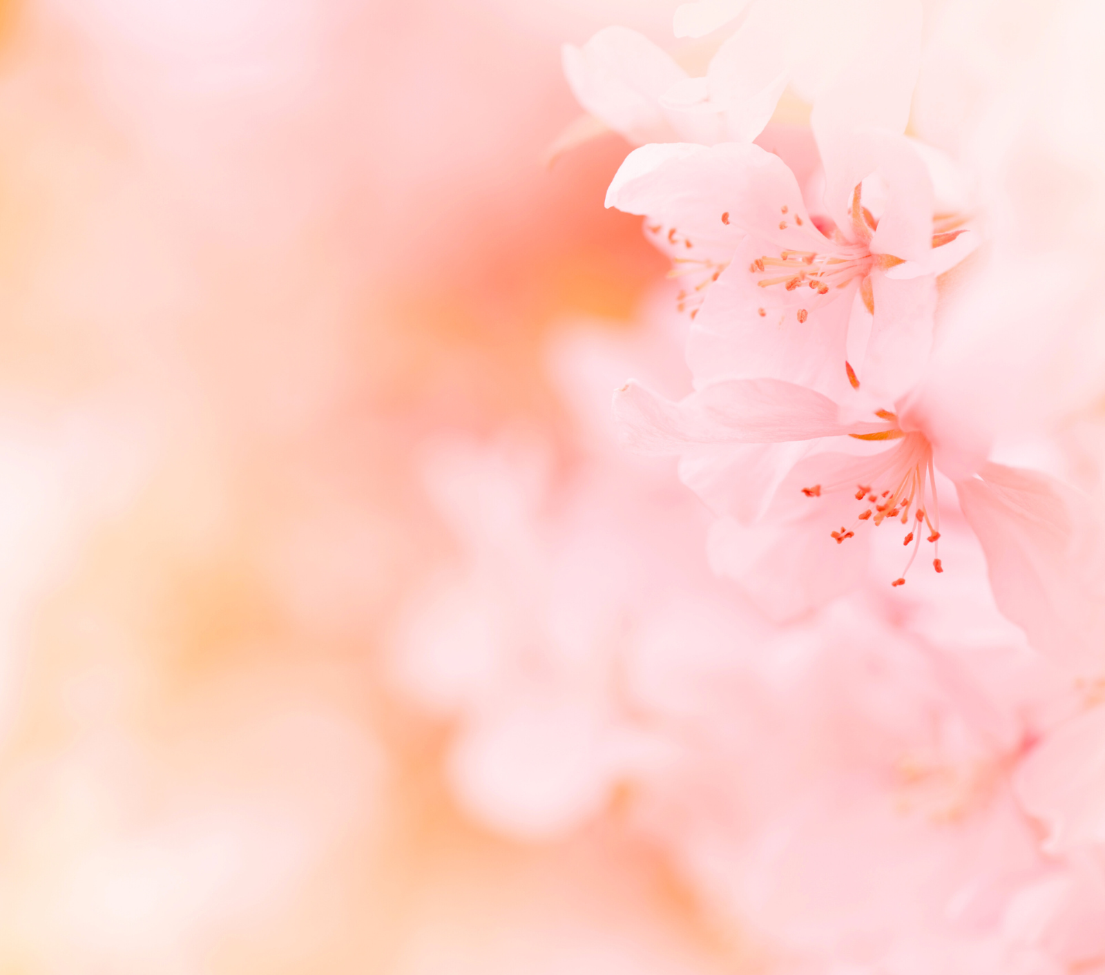 您用對防曬了嗎？10 個必須知道的防曬知識