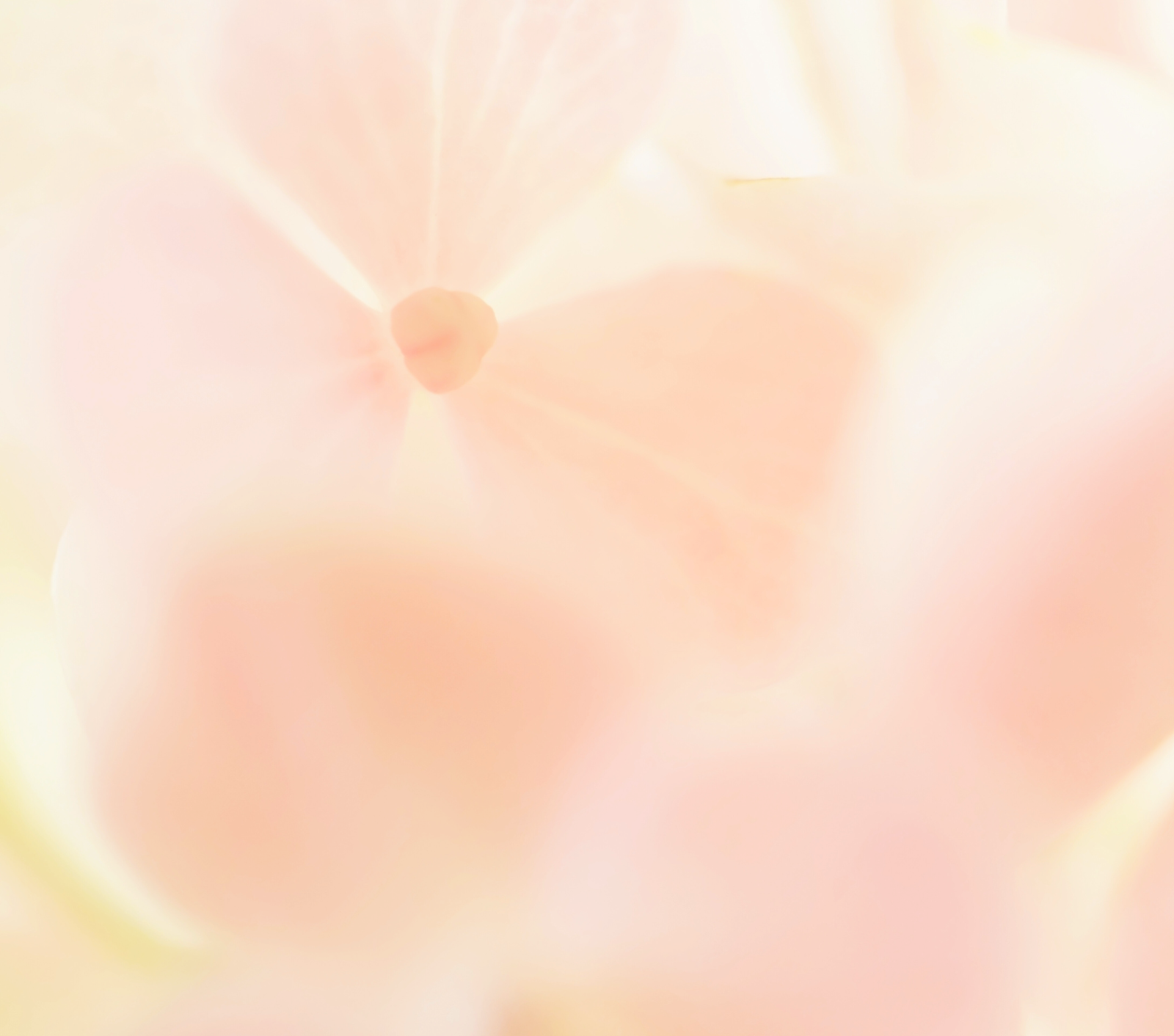 How Stress And Anxiety Affect The Skin | Ambrosia | Hong Kong