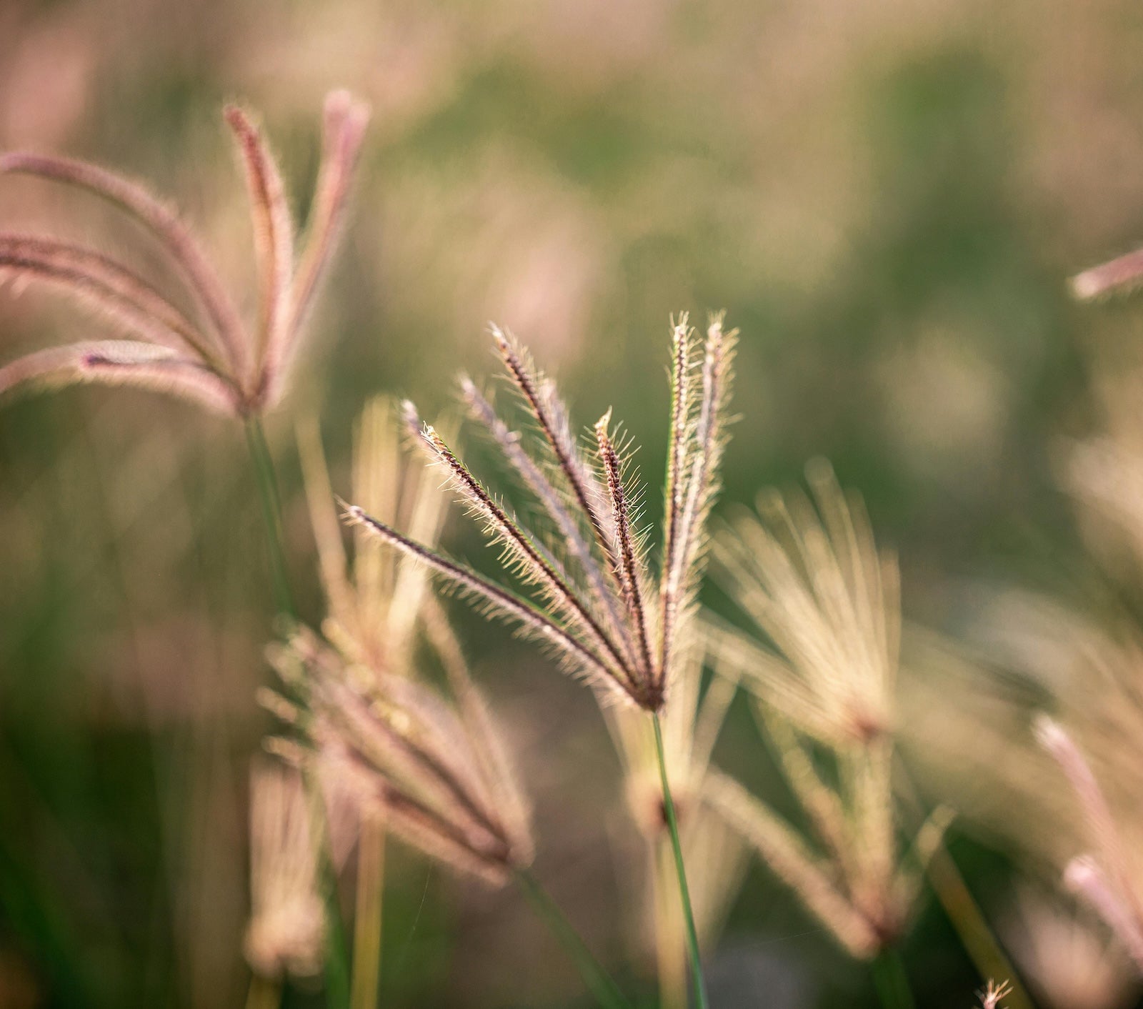 不同營養補充劑的最佳服用方法與時間