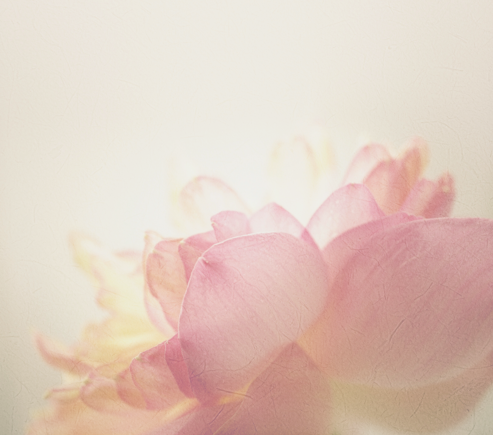 不同護膚品的最佳塗抹手法