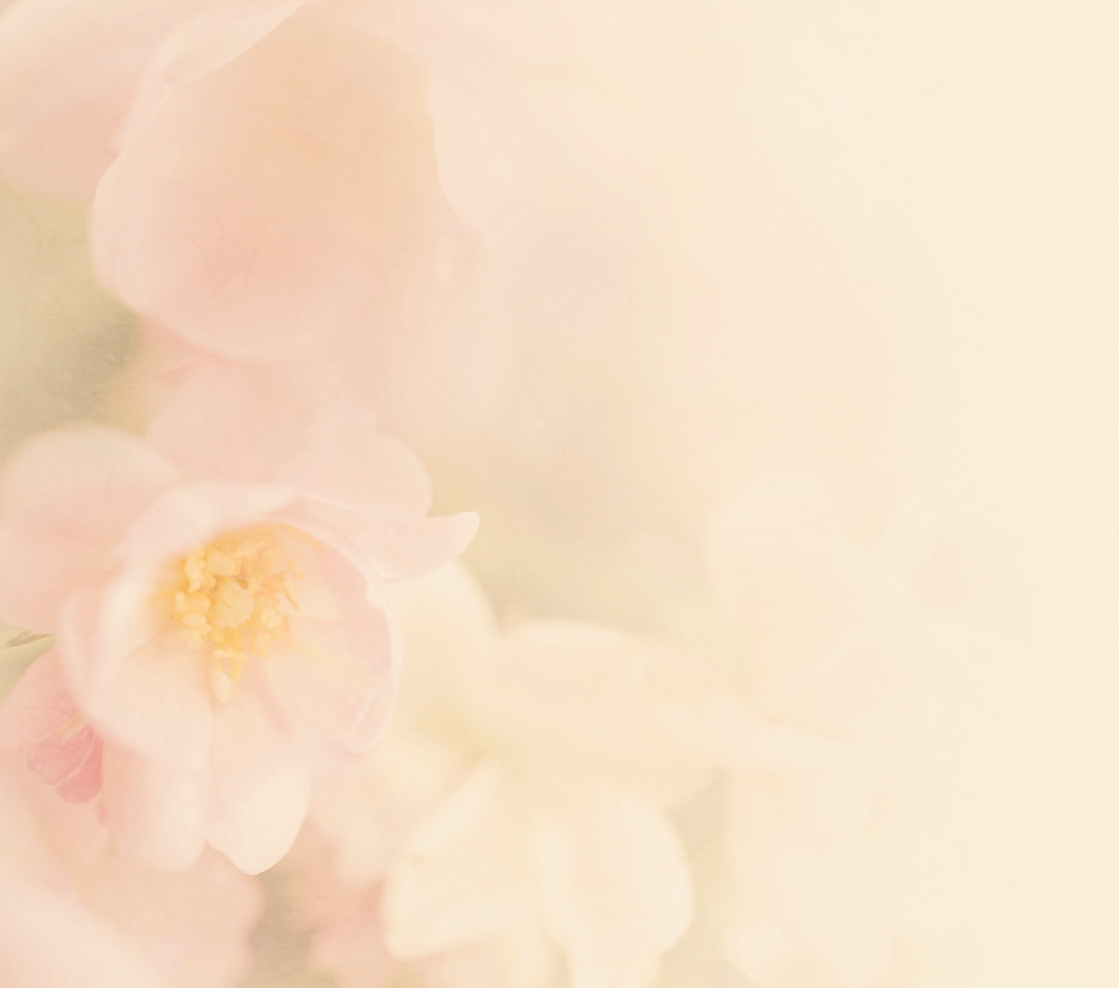 過度補濕和保濕其實反而會傷害皮膚！