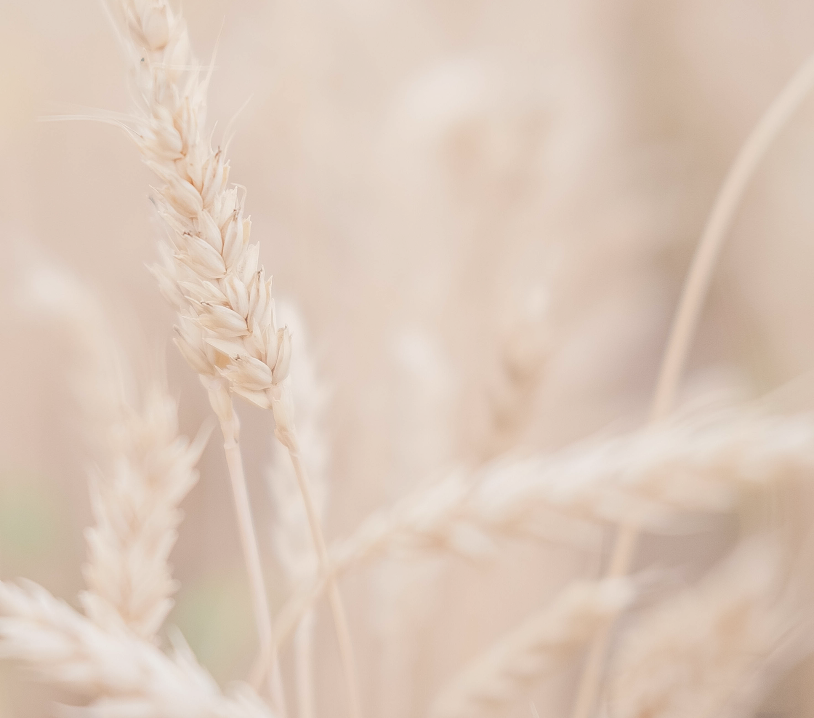 打造健康冬日肌膚 10 大秘訣