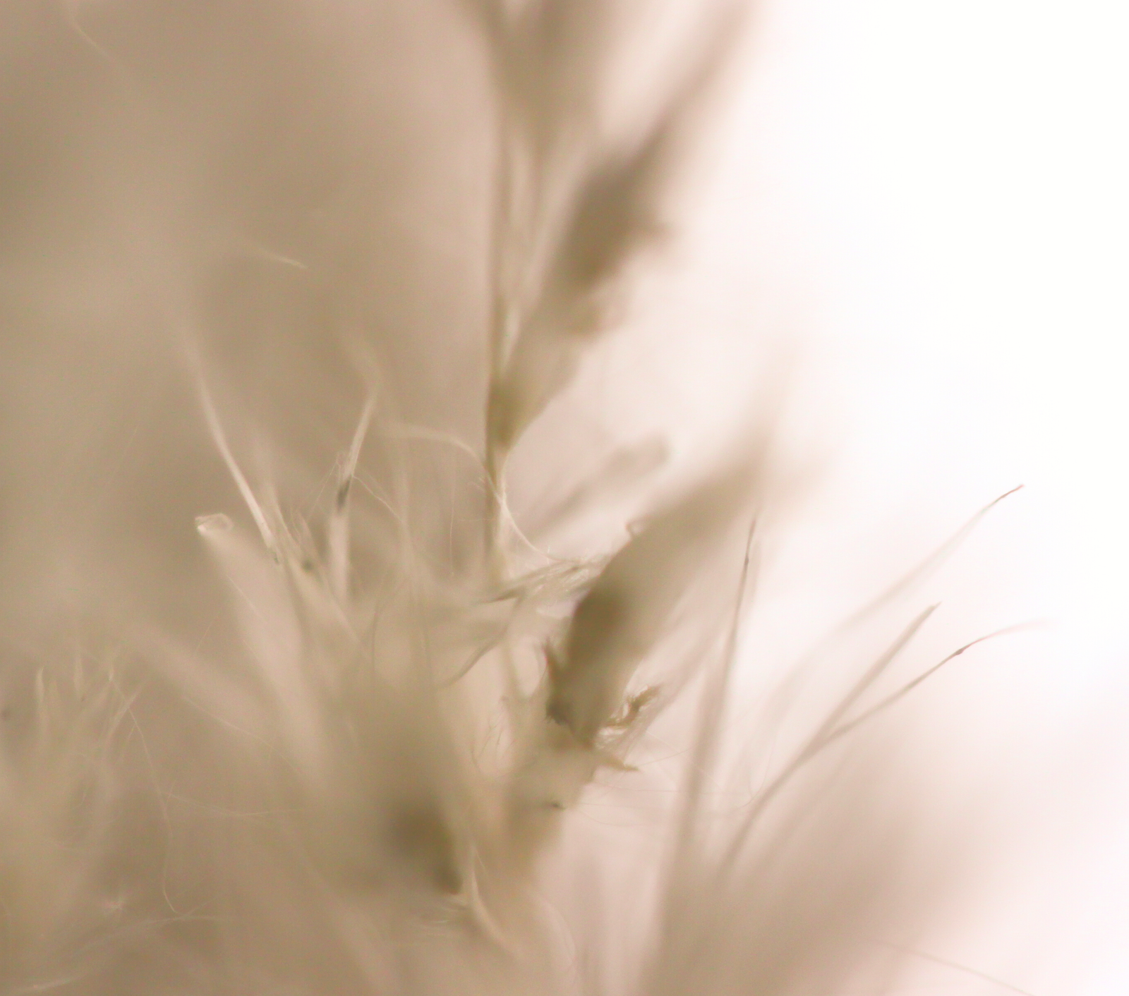 解答 Top 30 護膚問題 - 第三回