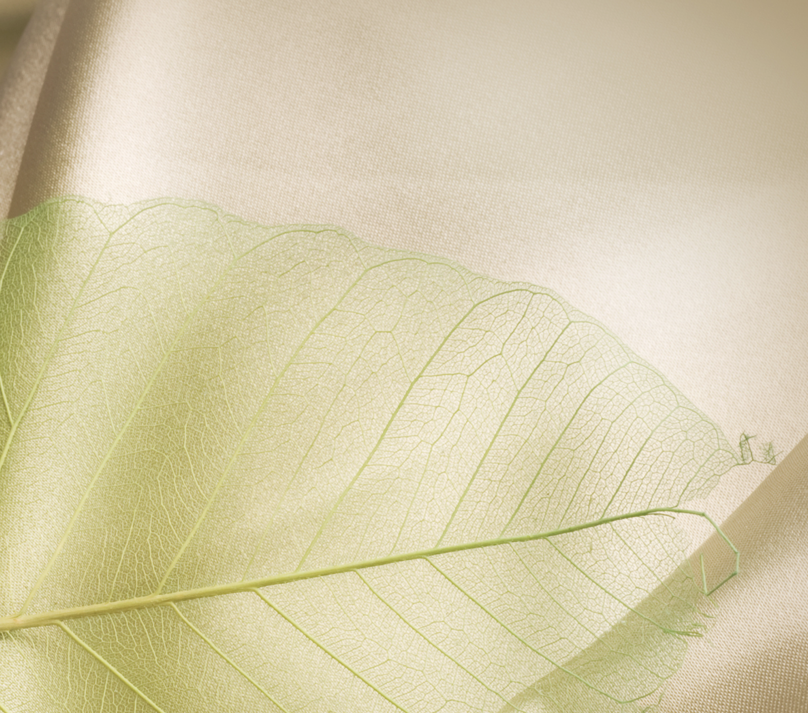 解答 Top 30 護膚問題 - 第二回