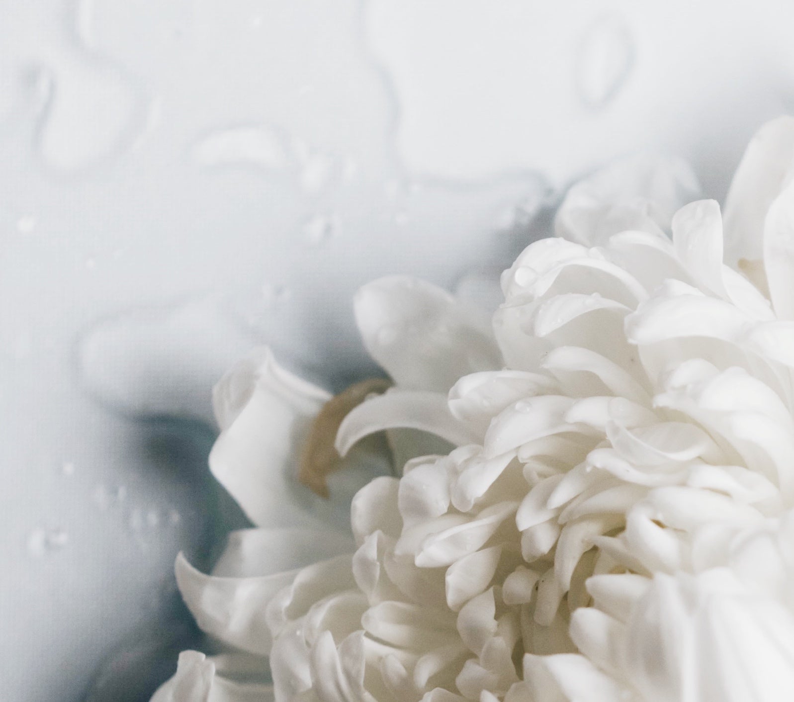 How Water pH Affects the Skin | Ambrosia | Hong Kong