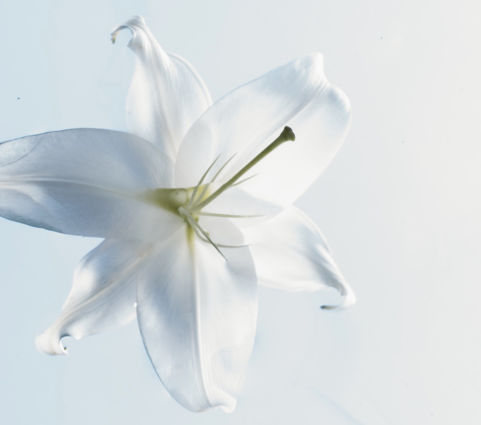 Glycerin: The Unsung Skincare Hero | Ambrosia | Hong Kong